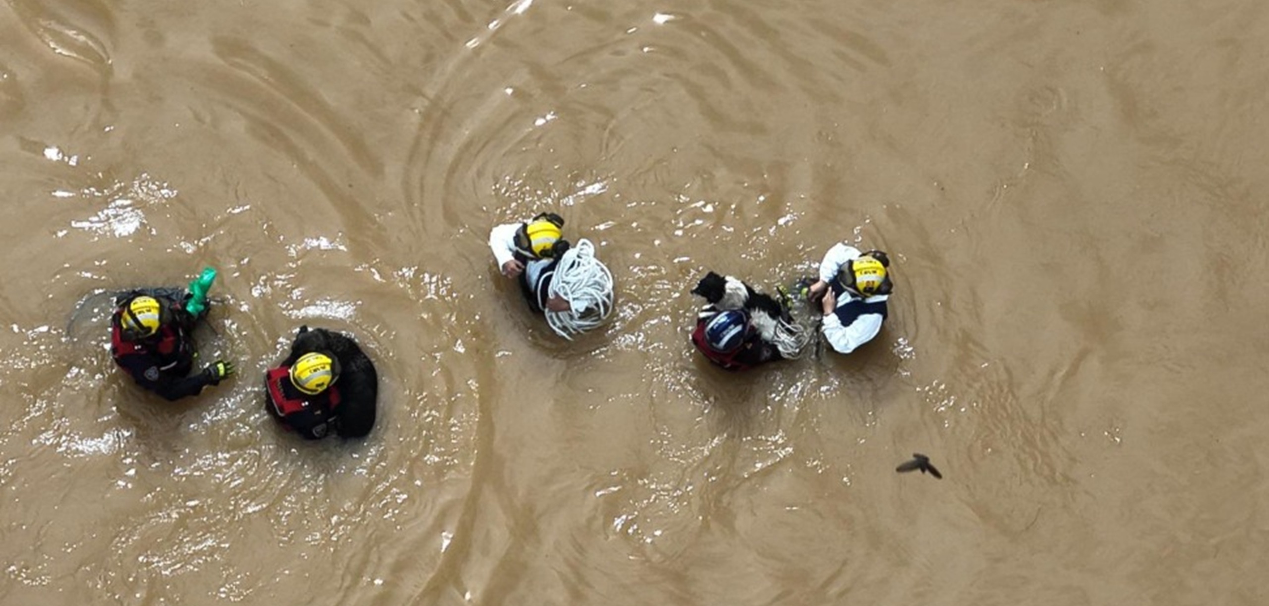 HÉROES DEL AGUA: BOMBEROS DE MARINILLA RESCATAN ANIMALES ATRAPADOS EN INUNDACIÓN PROVOCADA POR DESBORDAMIENTO DEL RÍO