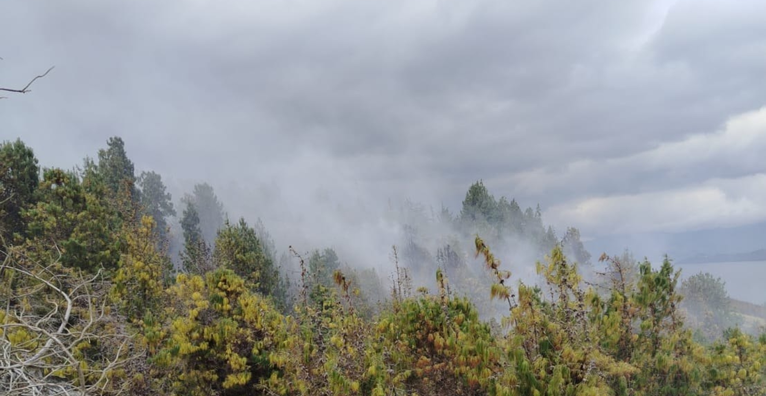 Bomberos controlan incendio forestal en zona rural del municipio de Tota, Boyacá