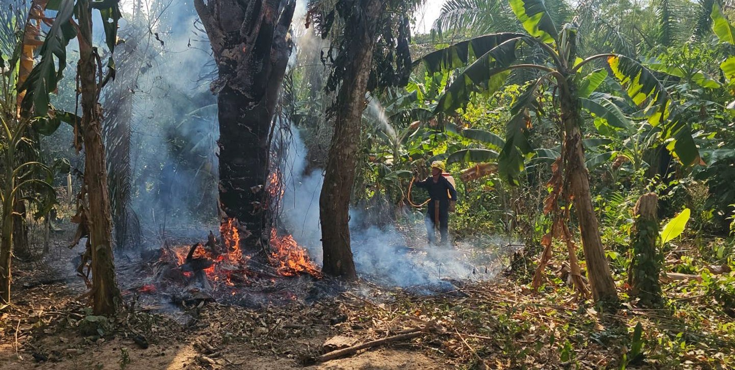 Bomberos liquidaron incendio forestal en zona rural de Paz de Ariporo, Casanare