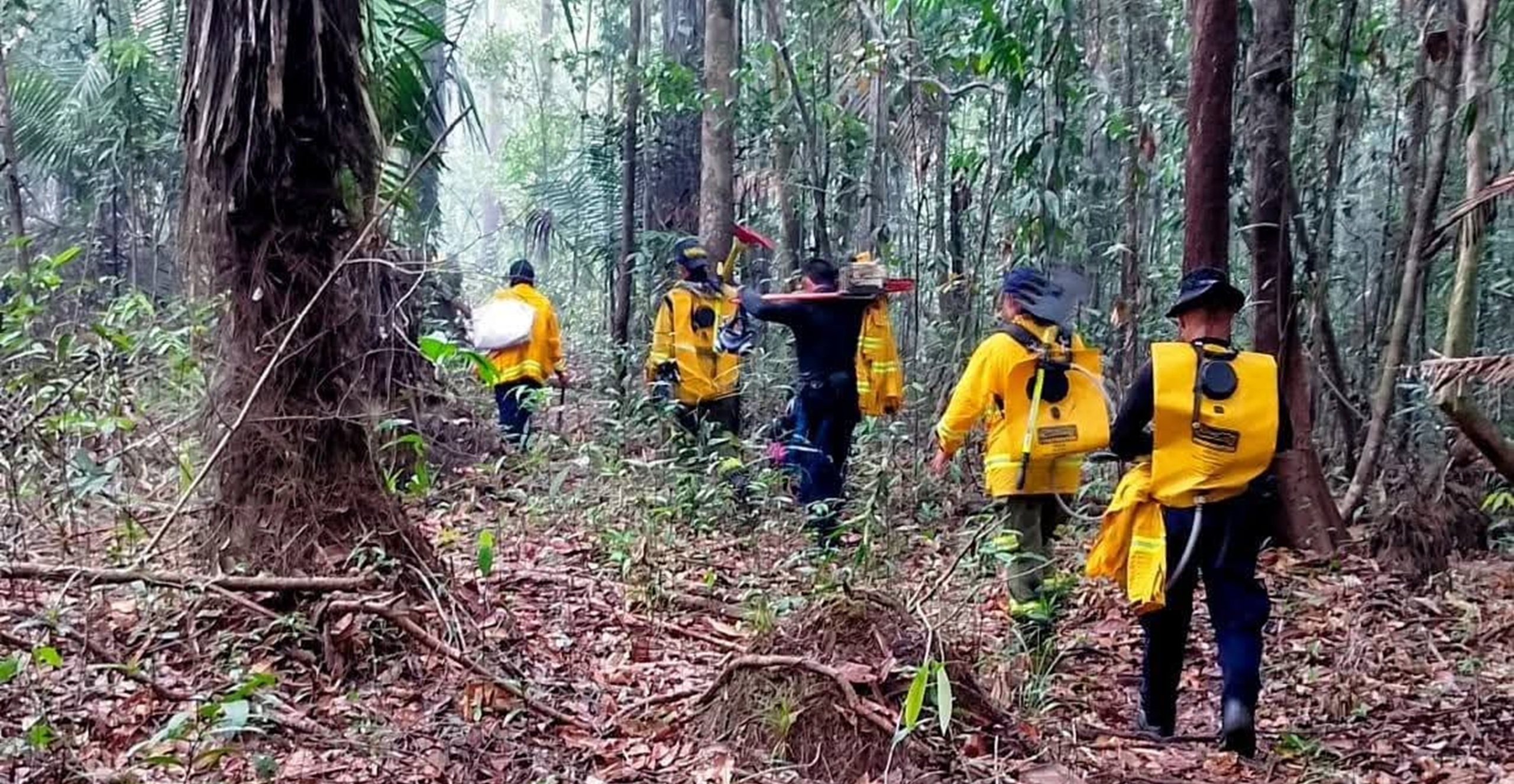 Incendio forestal en zona rural de Inírida presenta avance de control del 80%