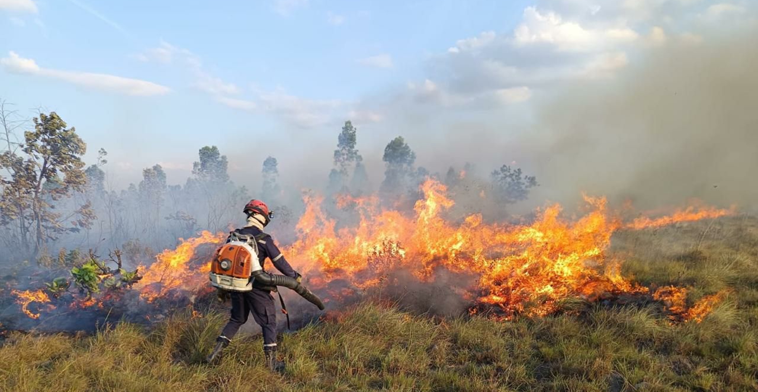 Incendio forestal en Orocué completa cuatro días y deja más de 2.500 hectáreas afectadas