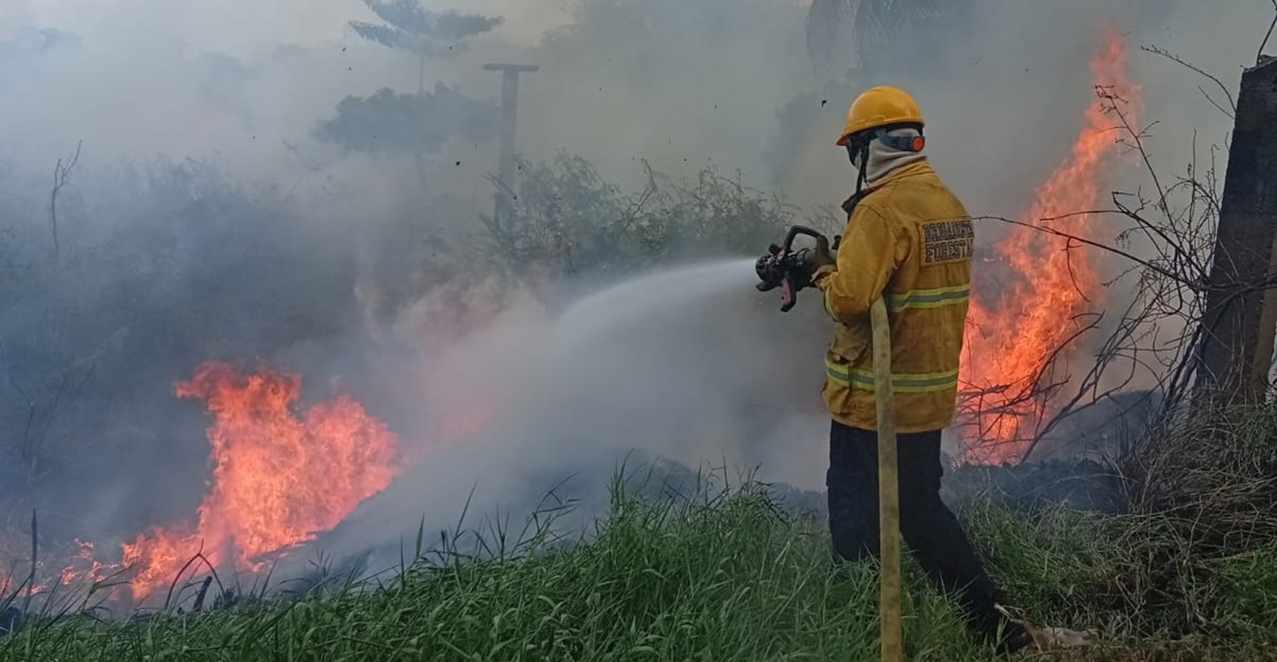 Bomberos controlaron incendio forestal en el Humedal Santa Teresita en Puerto Carreño, Vichada