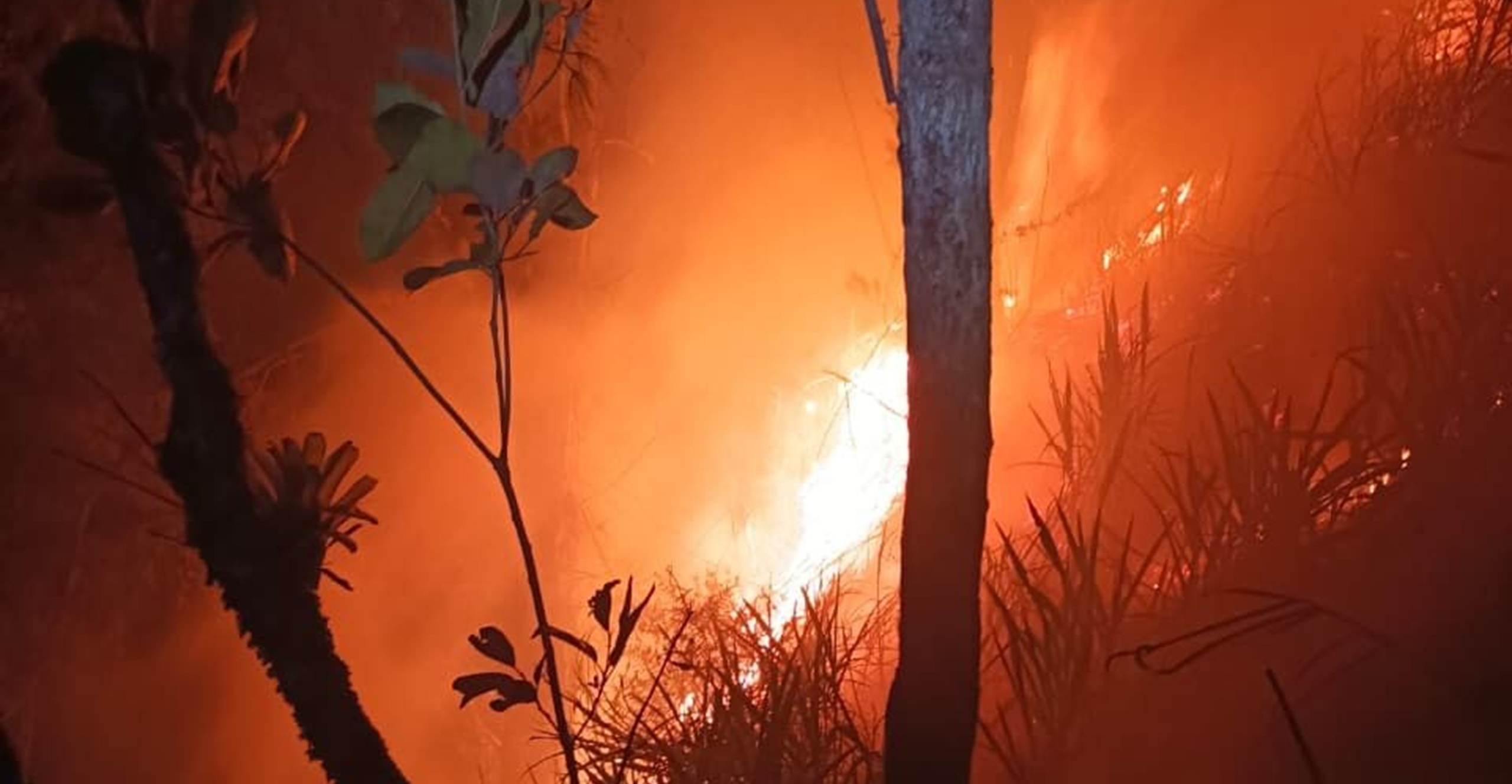 Rápida acción de Bomberos permitió liquidar incendio forestal en Ubalá, Cundinamarca.