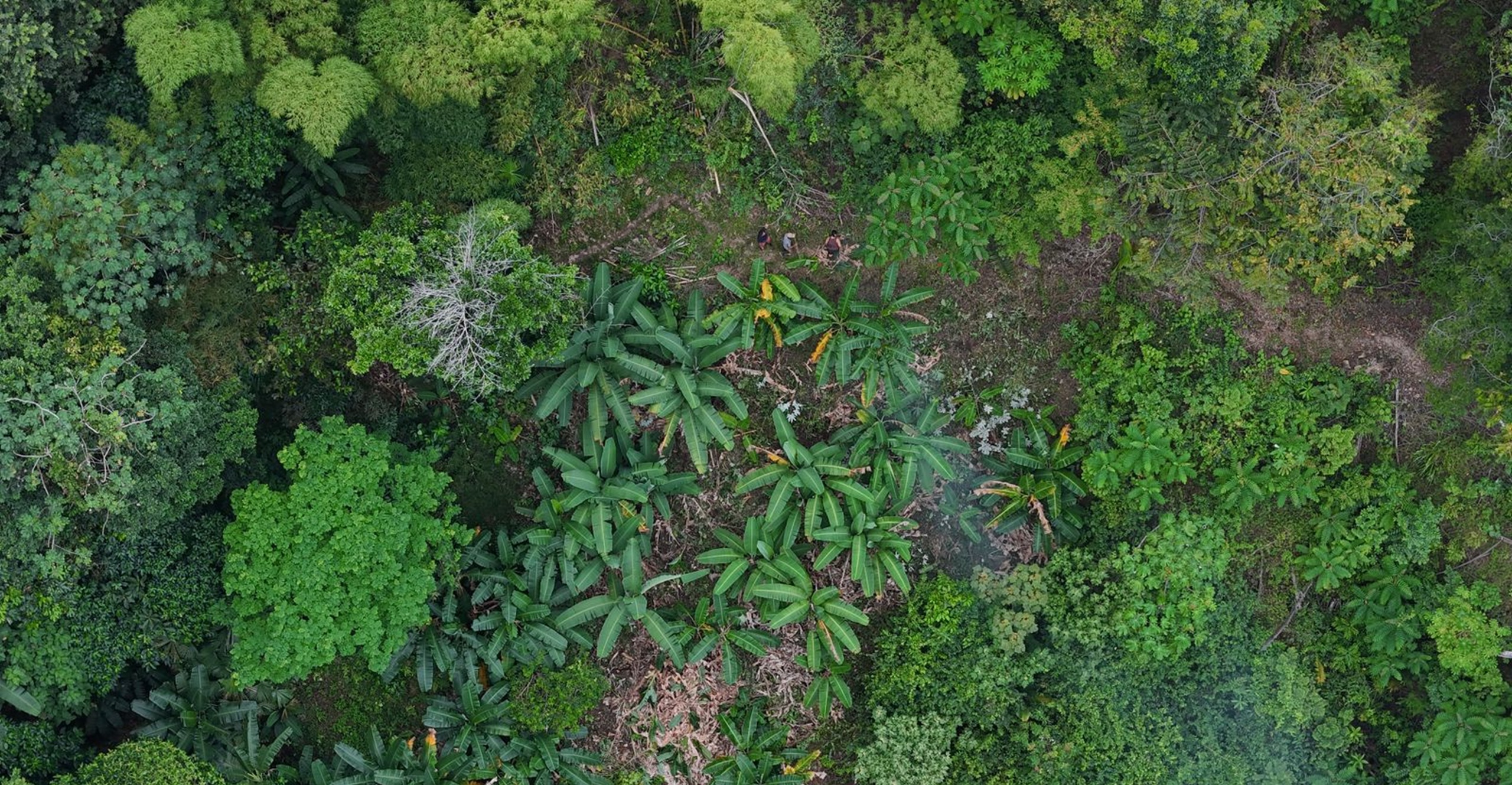 Bomberos Tolima y entidades del SNGRD, rescataron a ciudadano que sufrió accidente por caída de talud.