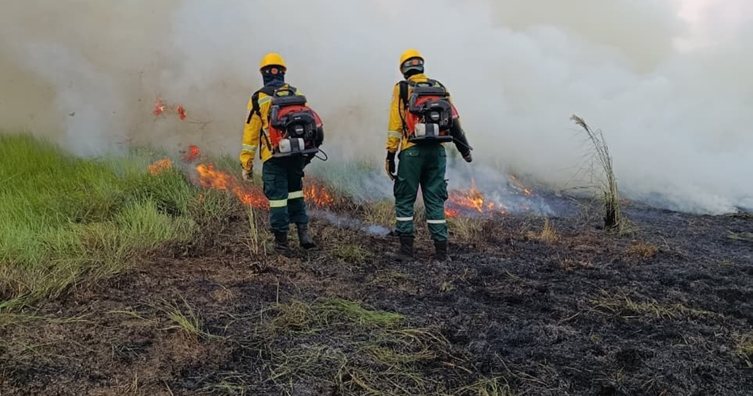 Bomberos controlaron incendio forestal que afectó cinco hectáreas en Cartagena del Chairá