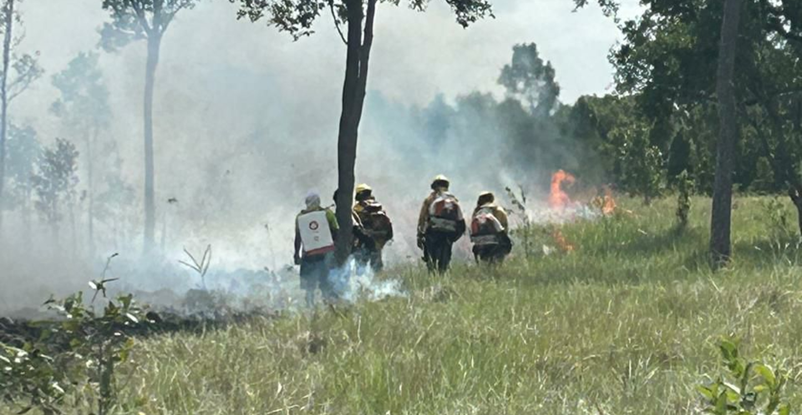 Bomberos Puerto Carreño atienden emergencia por incendio forestal