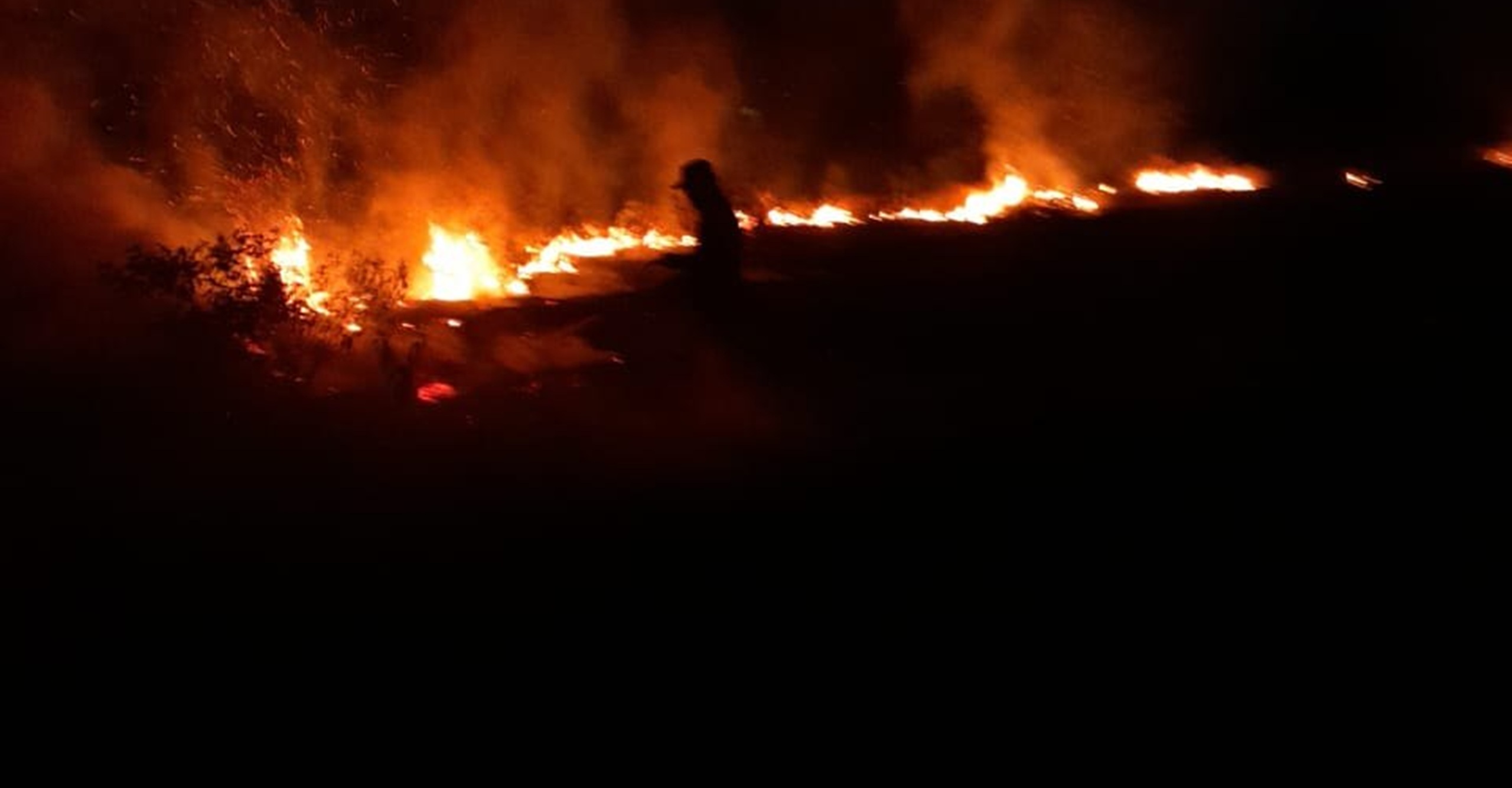 Bomberos de Alvarado Tolima atendieron emergencia por incendio Forestal en vía Nacional