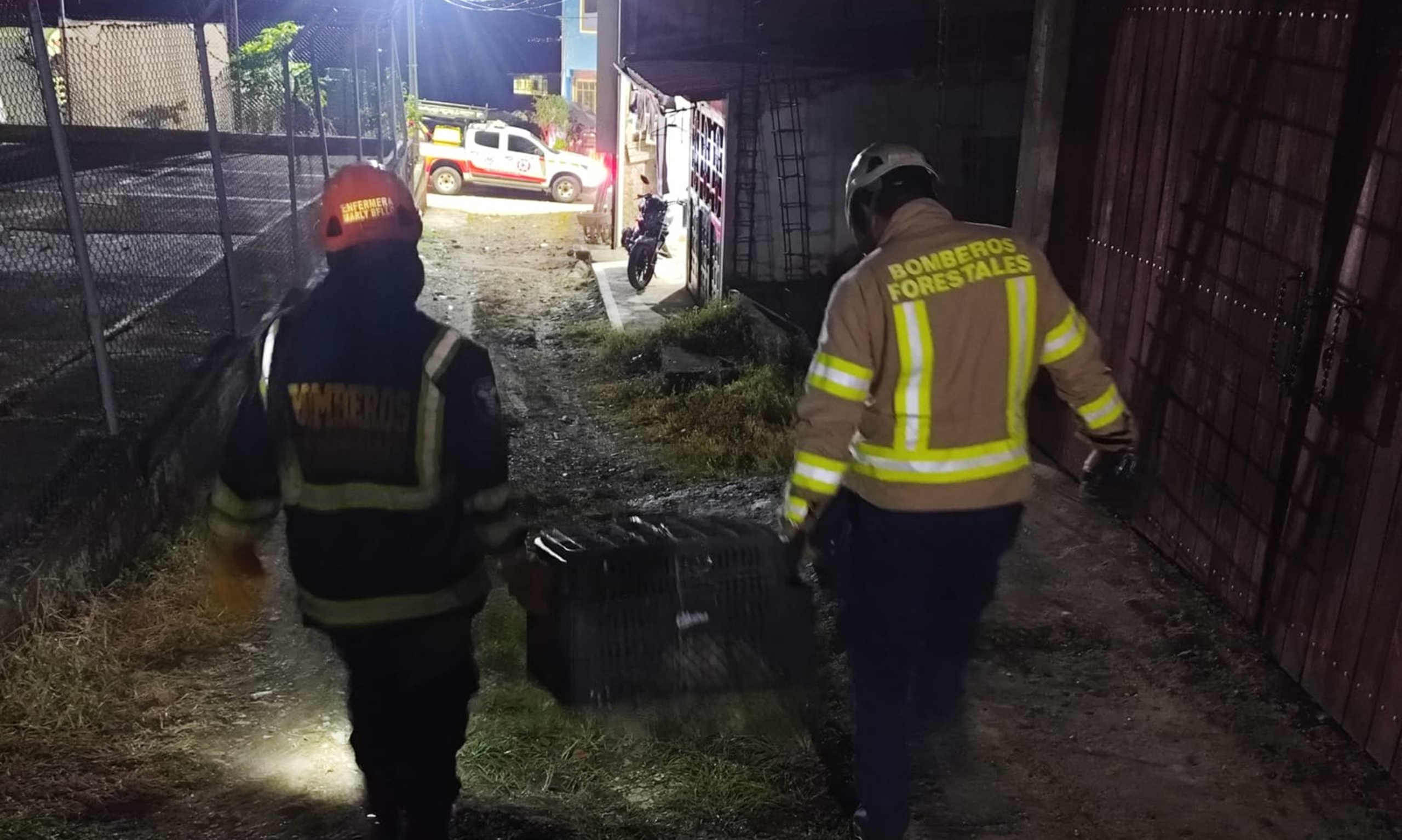 Un visitante inesperado: la noche en que un perezoso llegó al barrio Porvenir en Venecia