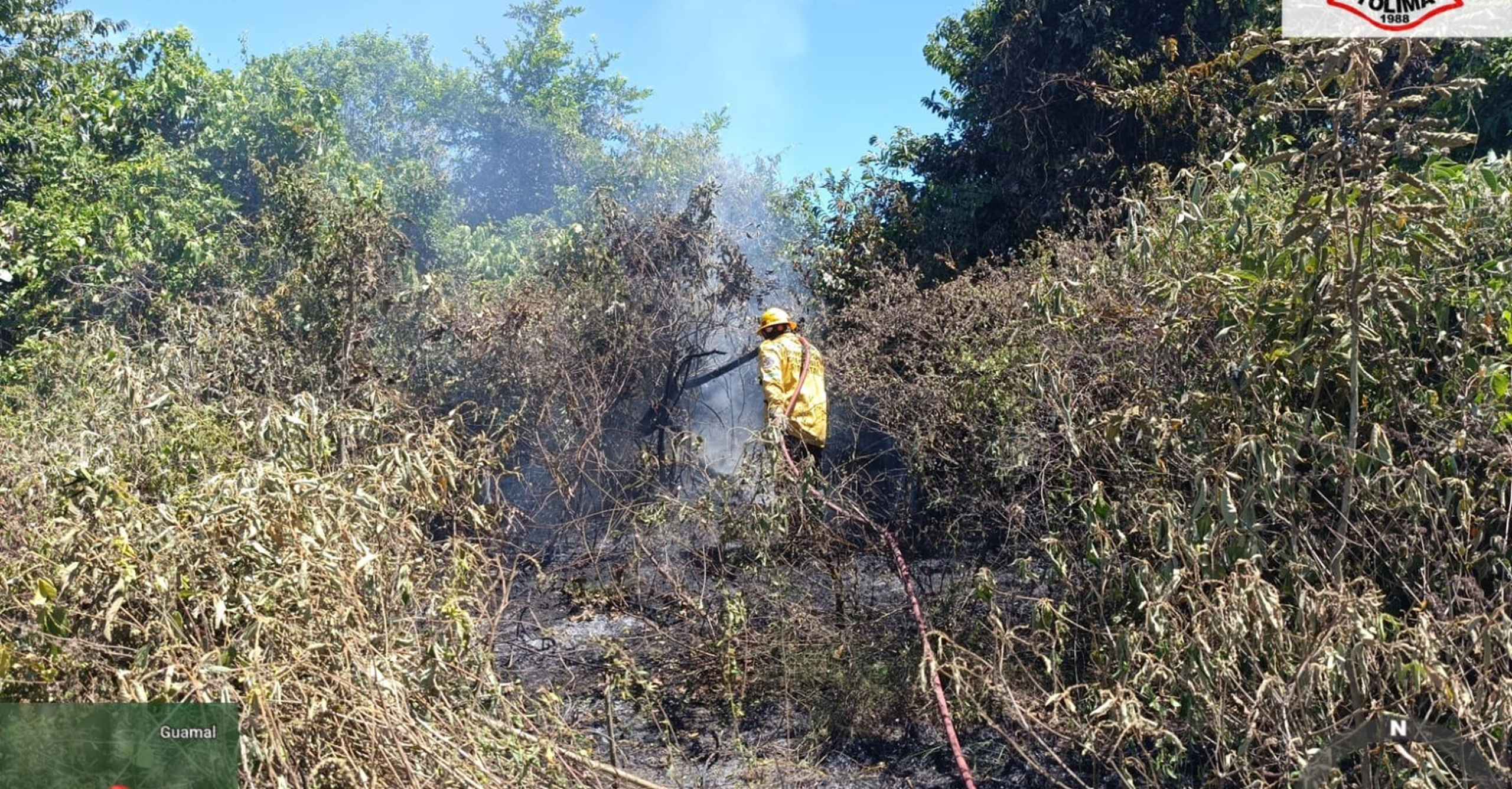 Incendio forestal en la vereda Guamalito fue controlado por bomberos de Guamo