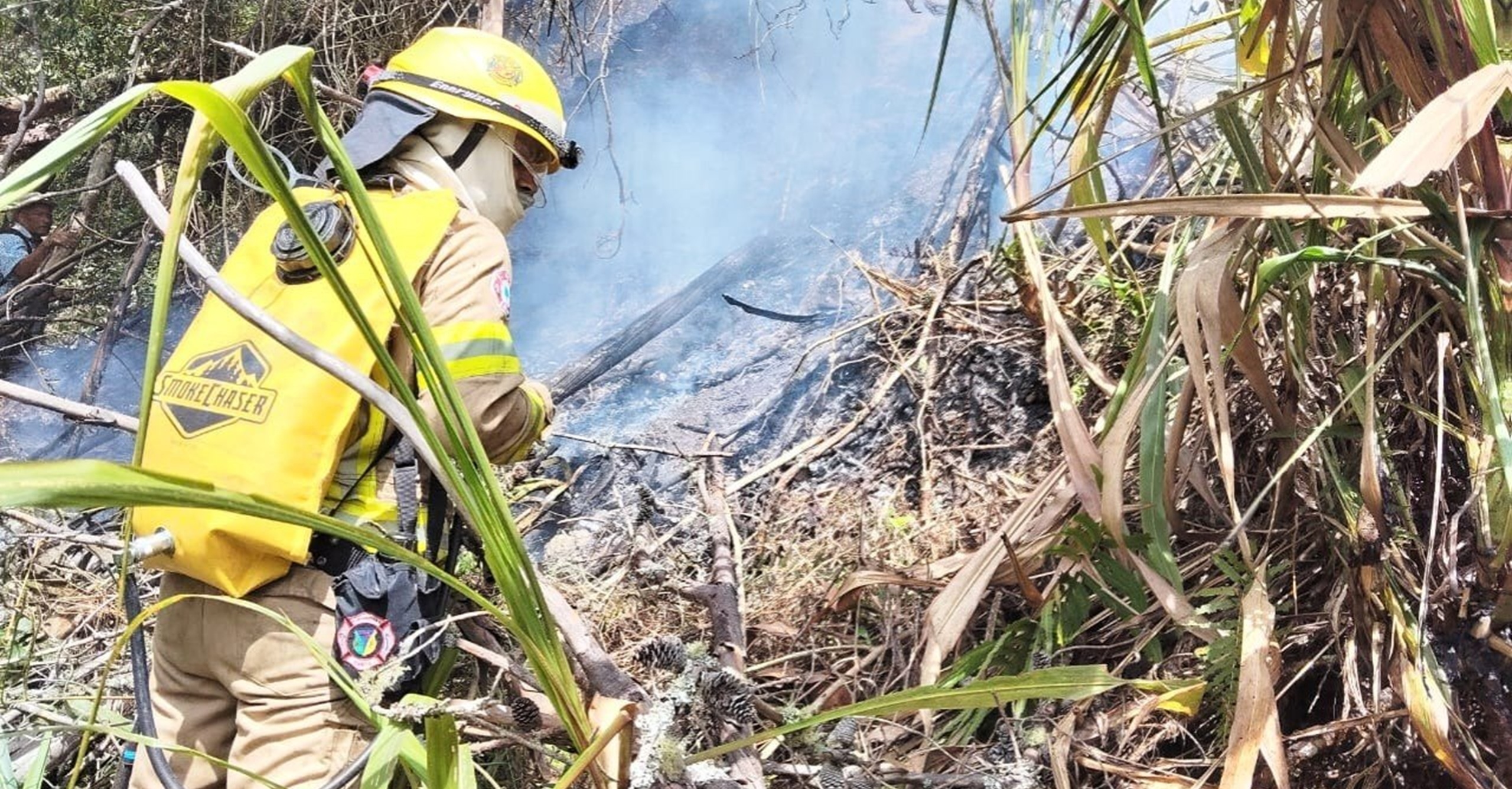 Incendio forestal en zona rural de Tibirita fue controlado oportunamente por bomberos