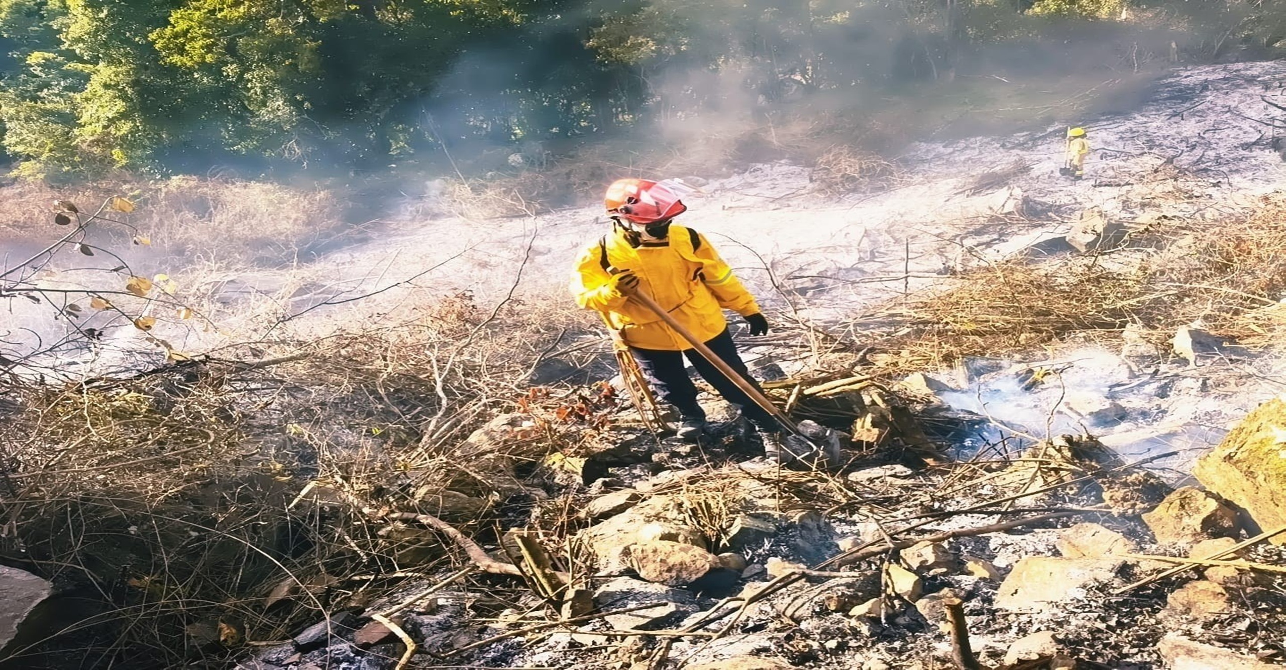 Incendio forestal en Arbeláez fue liquidado tras rápida intervención de los organismos de respuesta