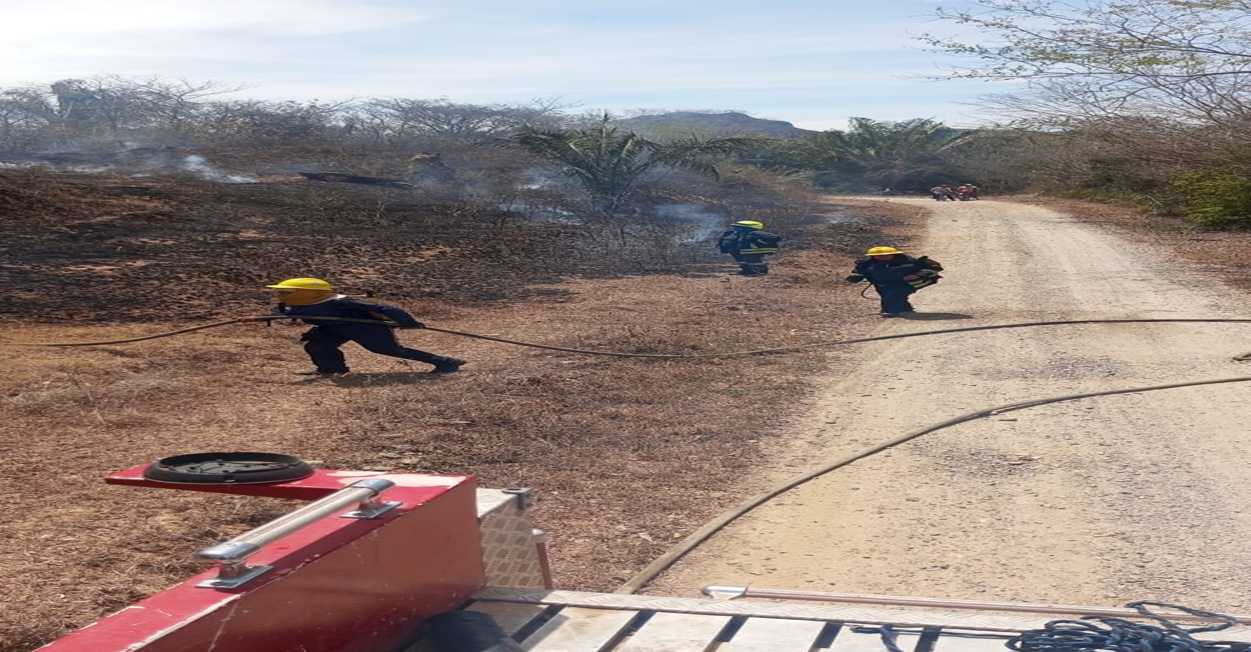 Bomberos de Ortega Tolima atienden emergencia por incendio forestal