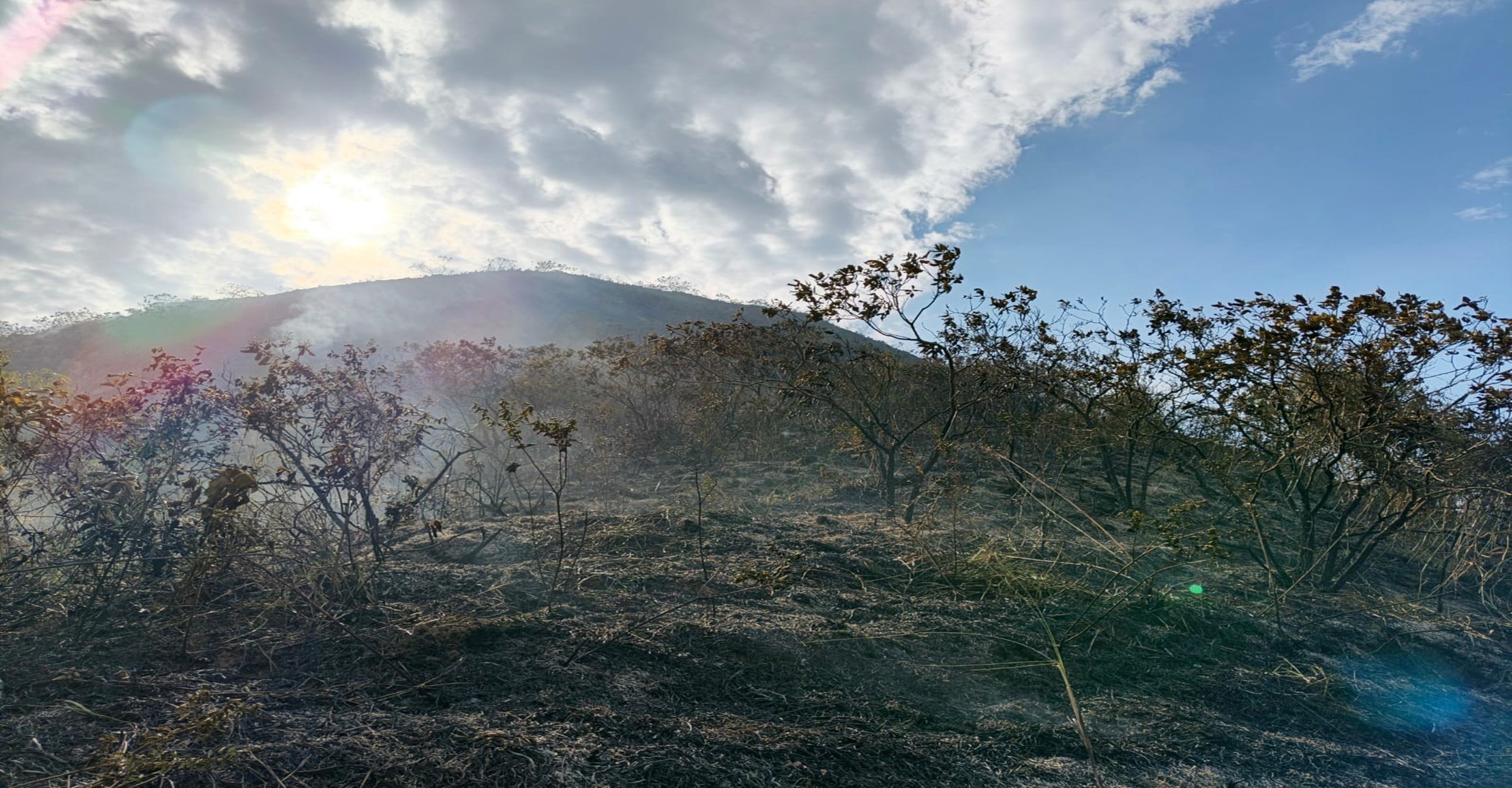 Bomberos de Jamundí liquidan incendio forestal que afectó cinco hectáreas en el sector Mina La Arenera