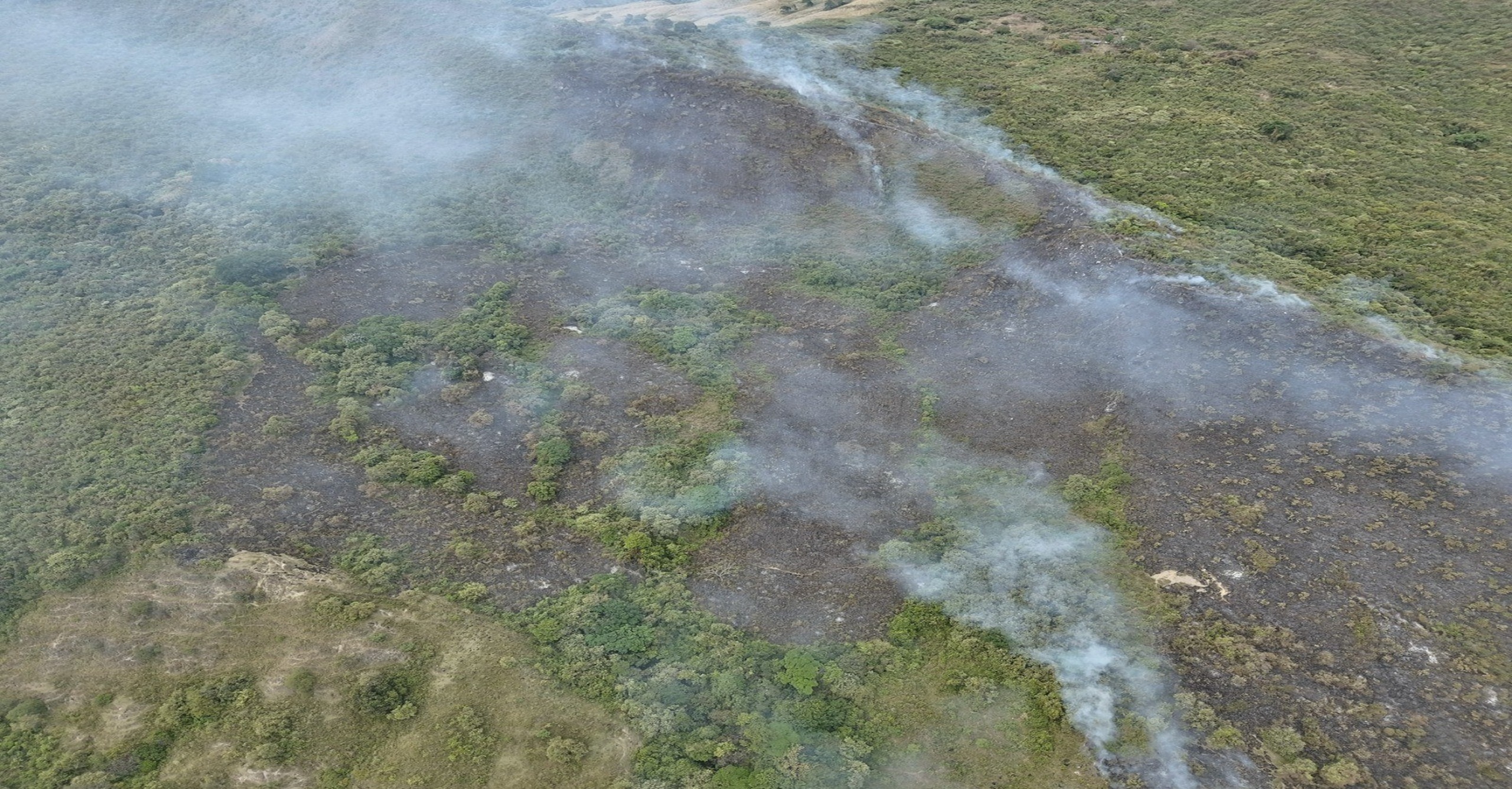 Bomberos de Neiva liquidan incendio forestal que afectó 22 hectáreas en la vereda Poco a Poco