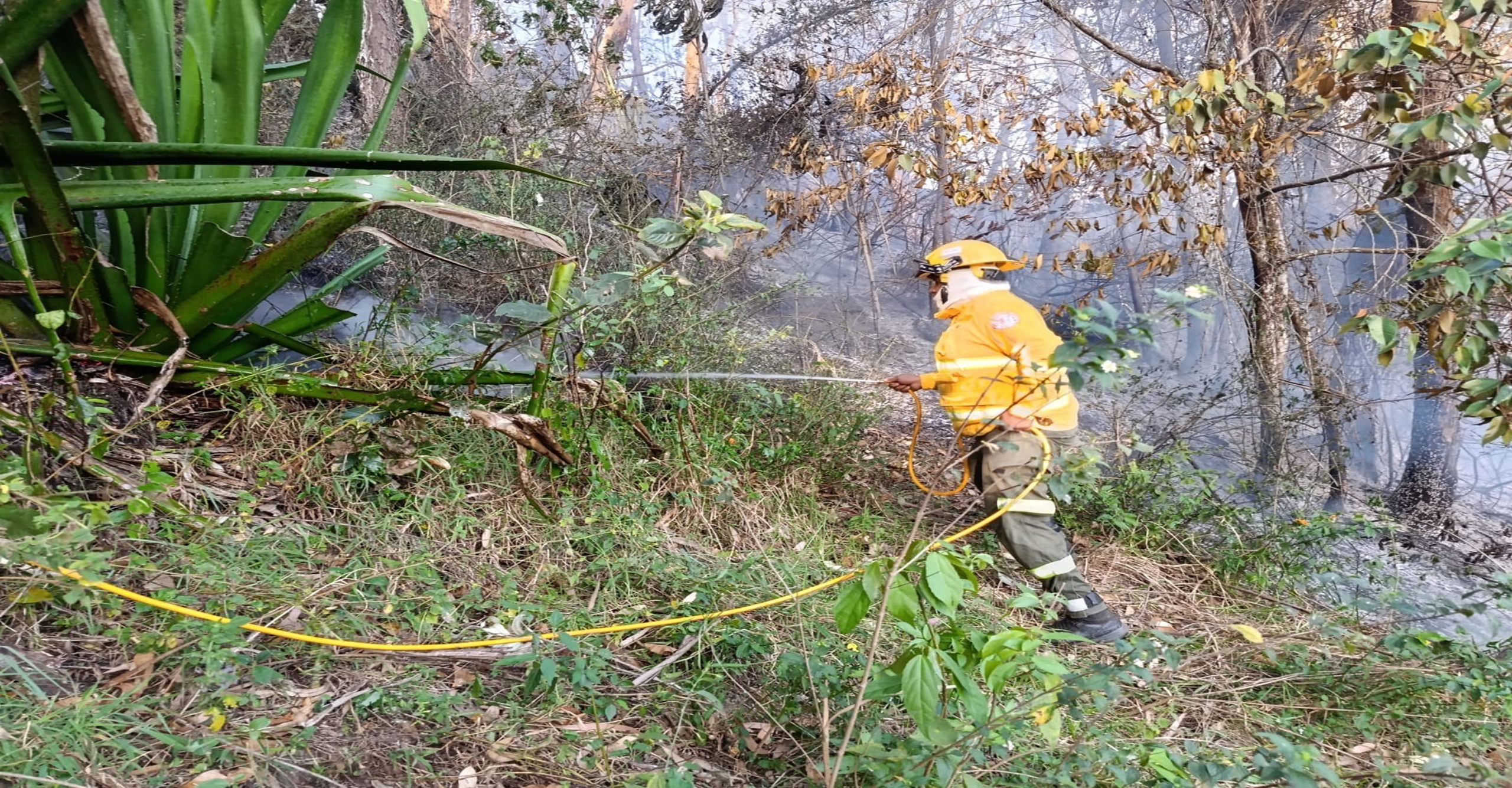 Bomberos de Pacho liquidan incendio forestal en la vereda San Miguel con apoyo interinstitucional y comunitario