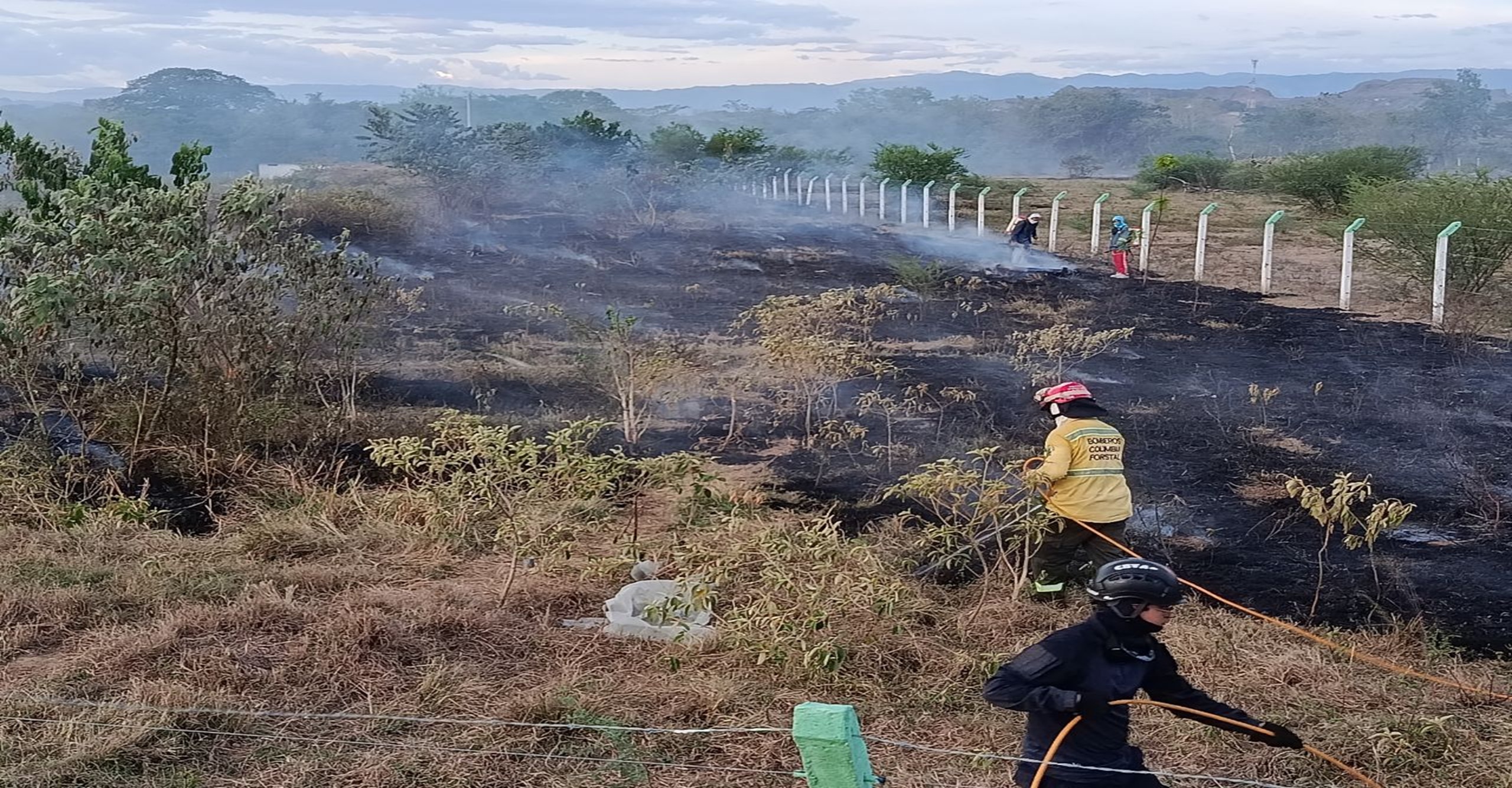 Bomberos liquidan incendio forestal que afectó cerca de 80 hectáreas en Armero Guayabal, Tolima
