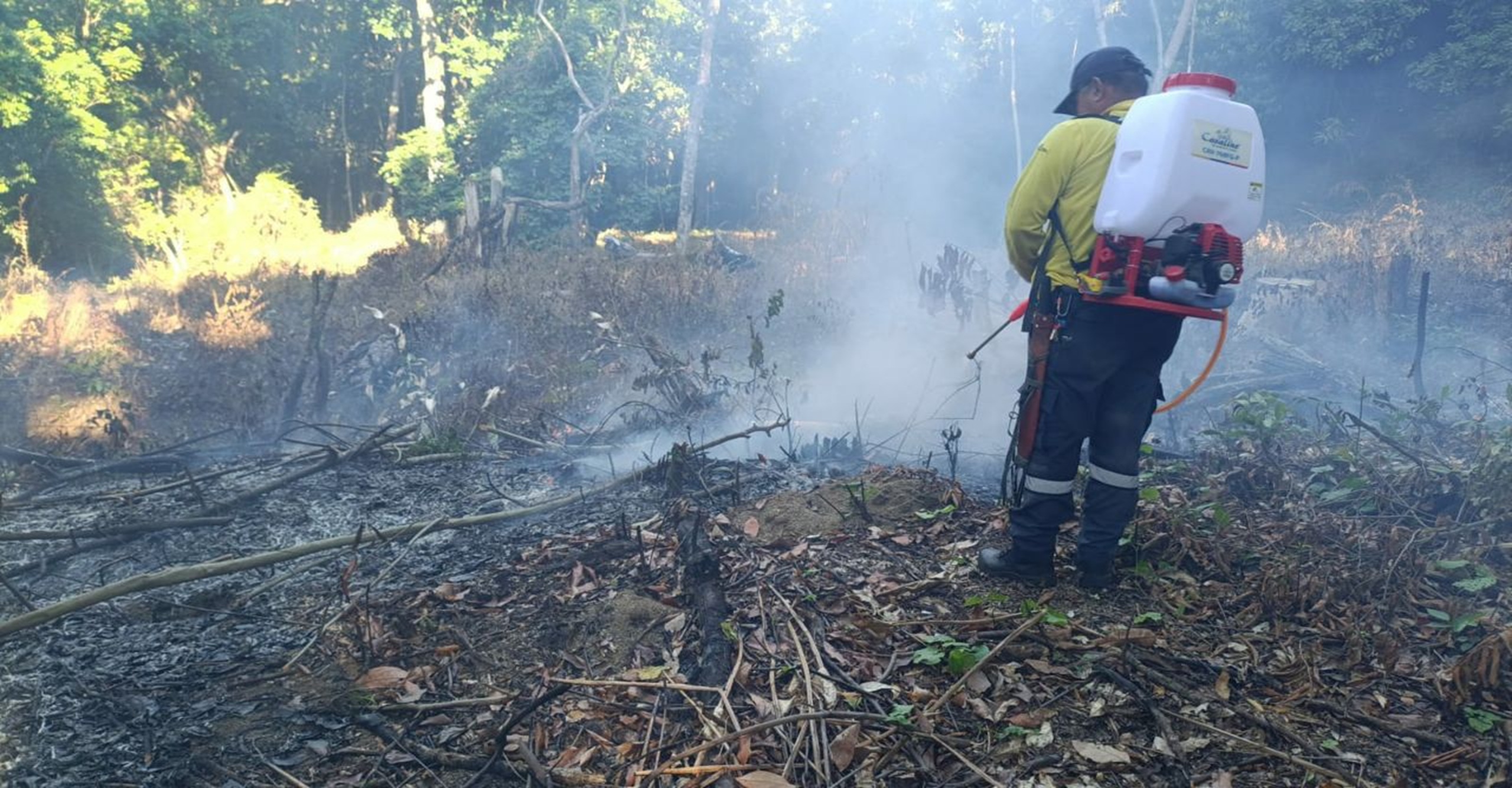 Bomberos de Alvarado liquidan incendio forestal que afectó 1,5 hectáreas de cobertura vegetal en zona rural del Tolima