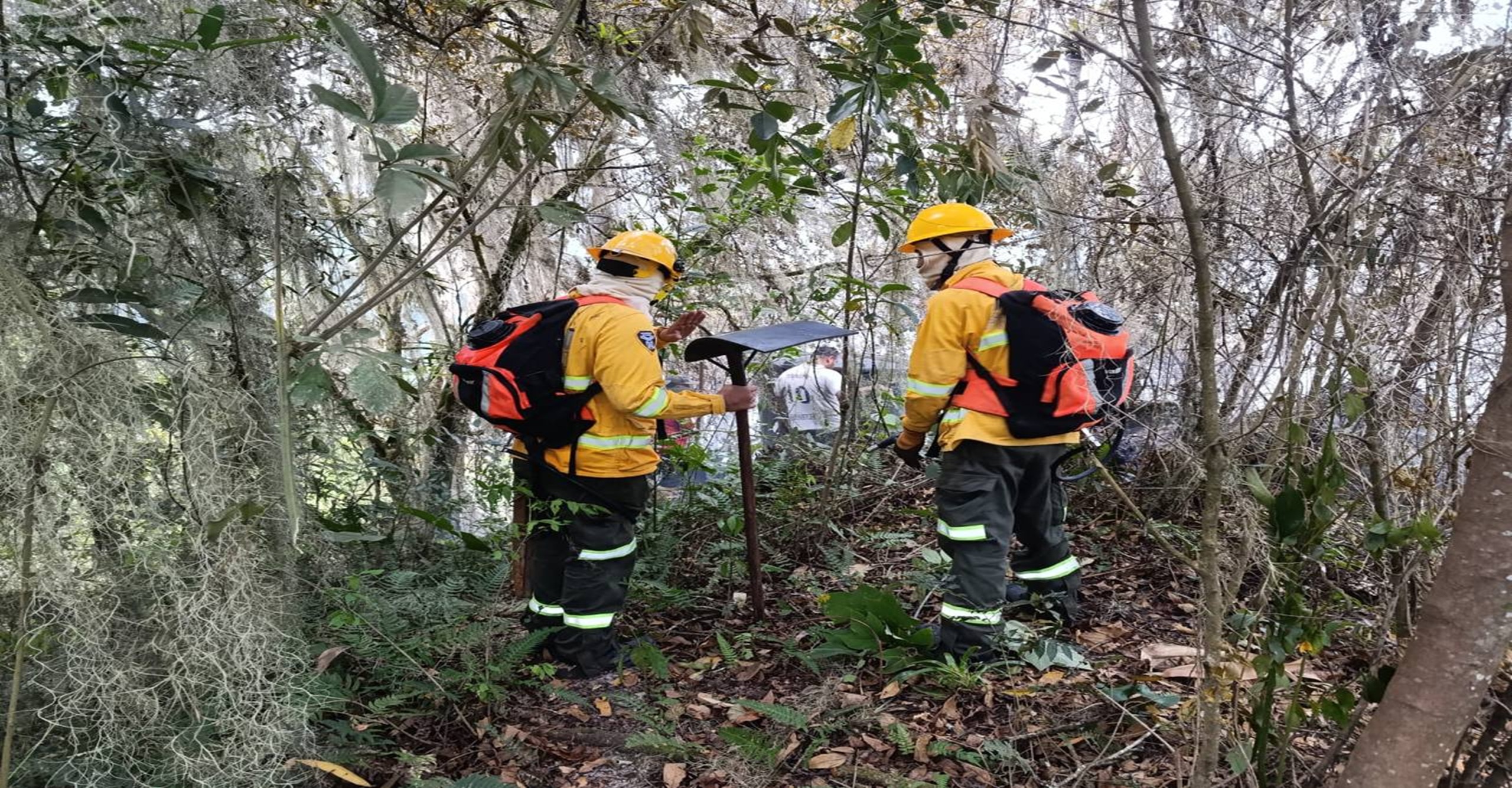 Bomberos de Pacho liquidan incendio forestal en la vereda Cucharal que afectó una hectárea de cobertura vegetal