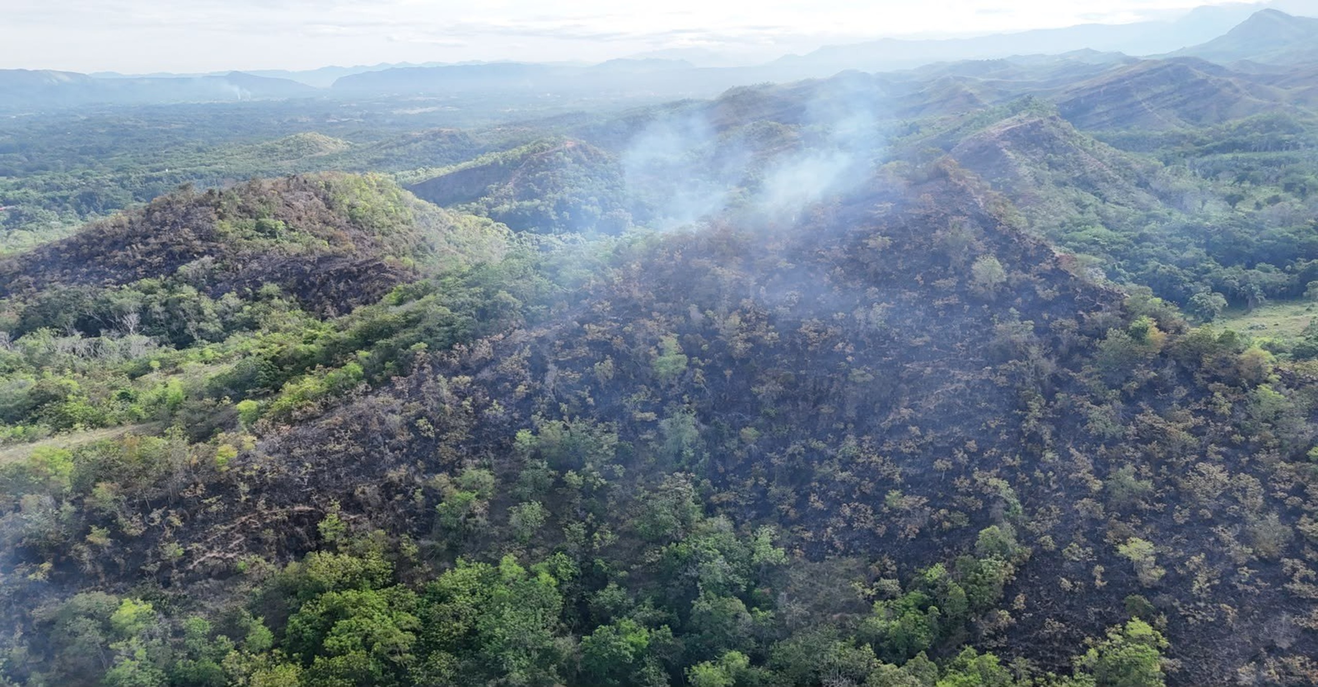 Bomberos de Carmen de Apicalá alcanzan el 95 % de control del incendio forestal en la vereda Peñón Blanco