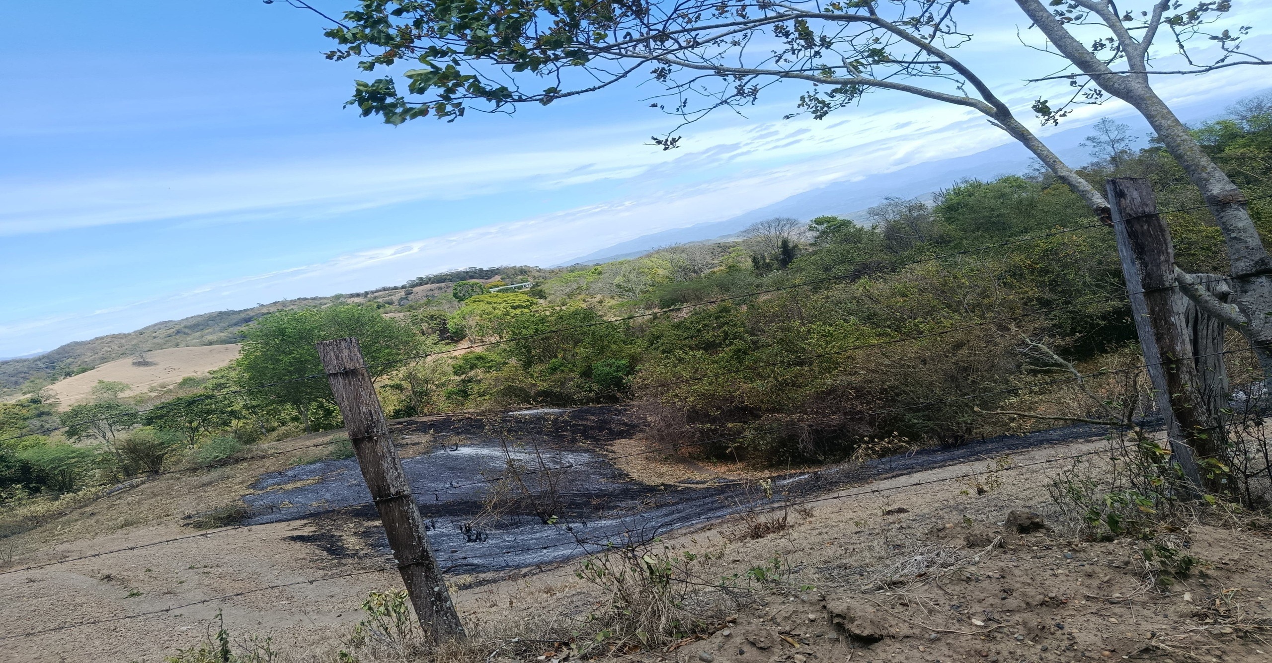 Bomberos de Armero Guayabal verifican y liquidan incendio forestal que afectó cerca de 100 hectáreas