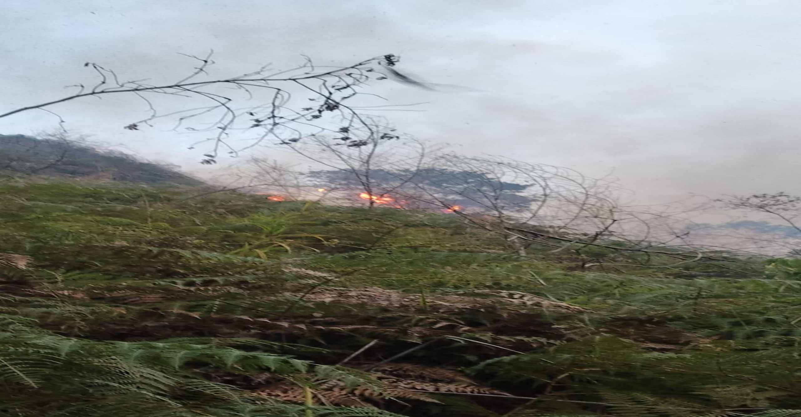 Bomberos del Líbano liquidan incendio forestal tras cerca de cinco horas de operación en zona rural del Tolima