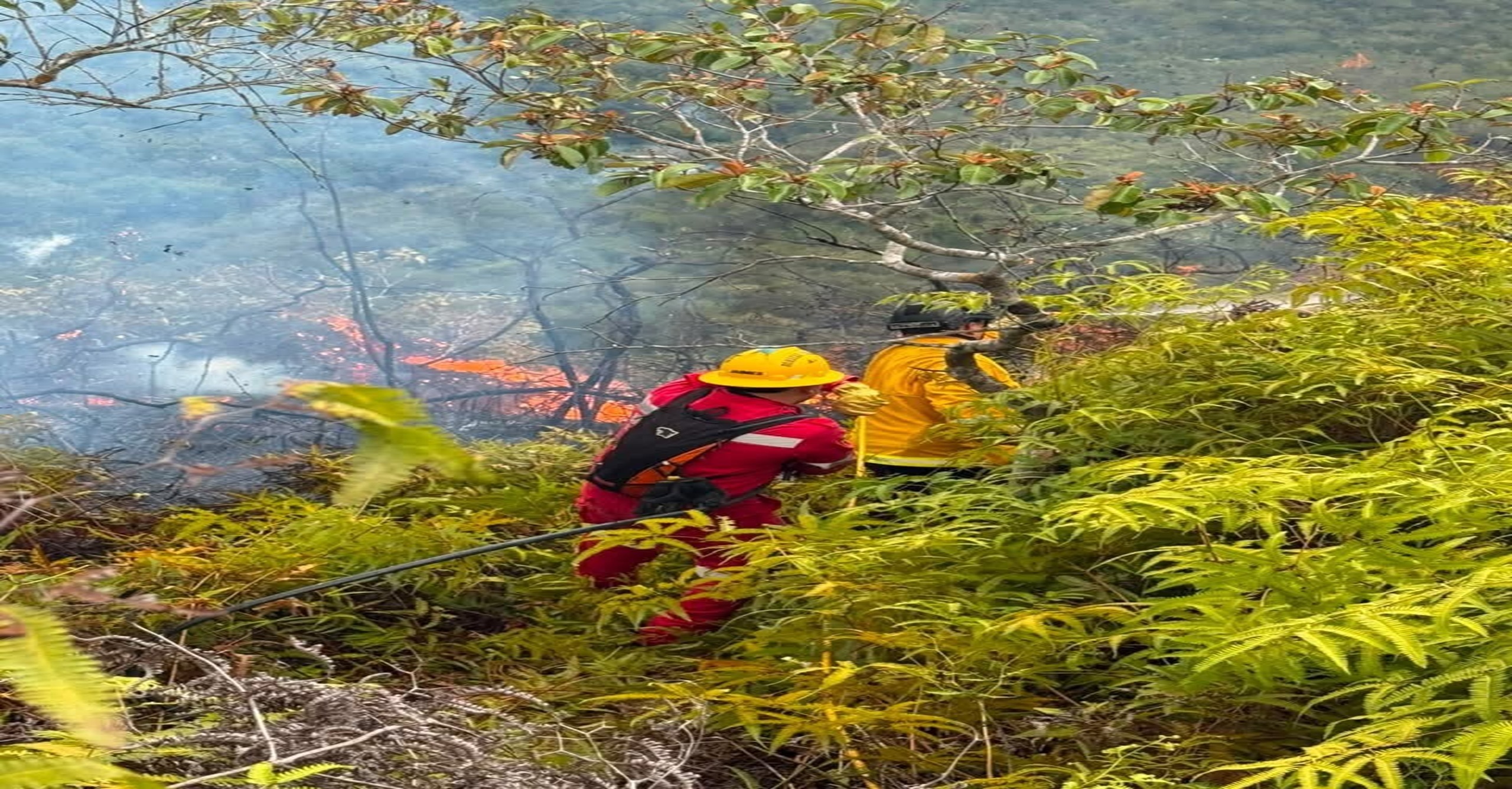 Bomberos de Ocaña alcanzan hasta un 97 % de control de incendio forestal que amenazaba infraestructura estratégica