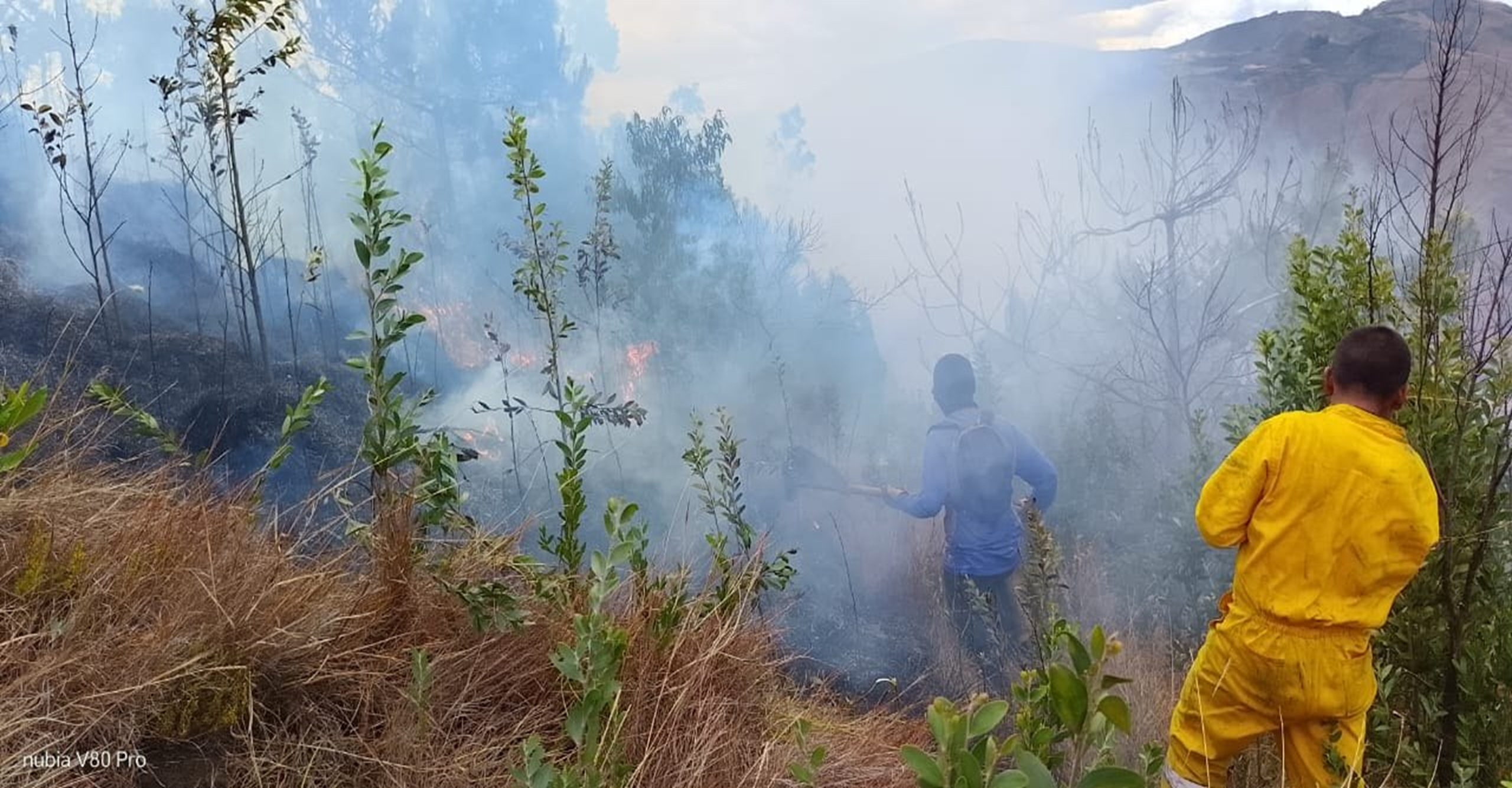Bomberos de Iles liquidan incendio forestal que afectó 20 hectáreas de cobertura vegetal en Nariño