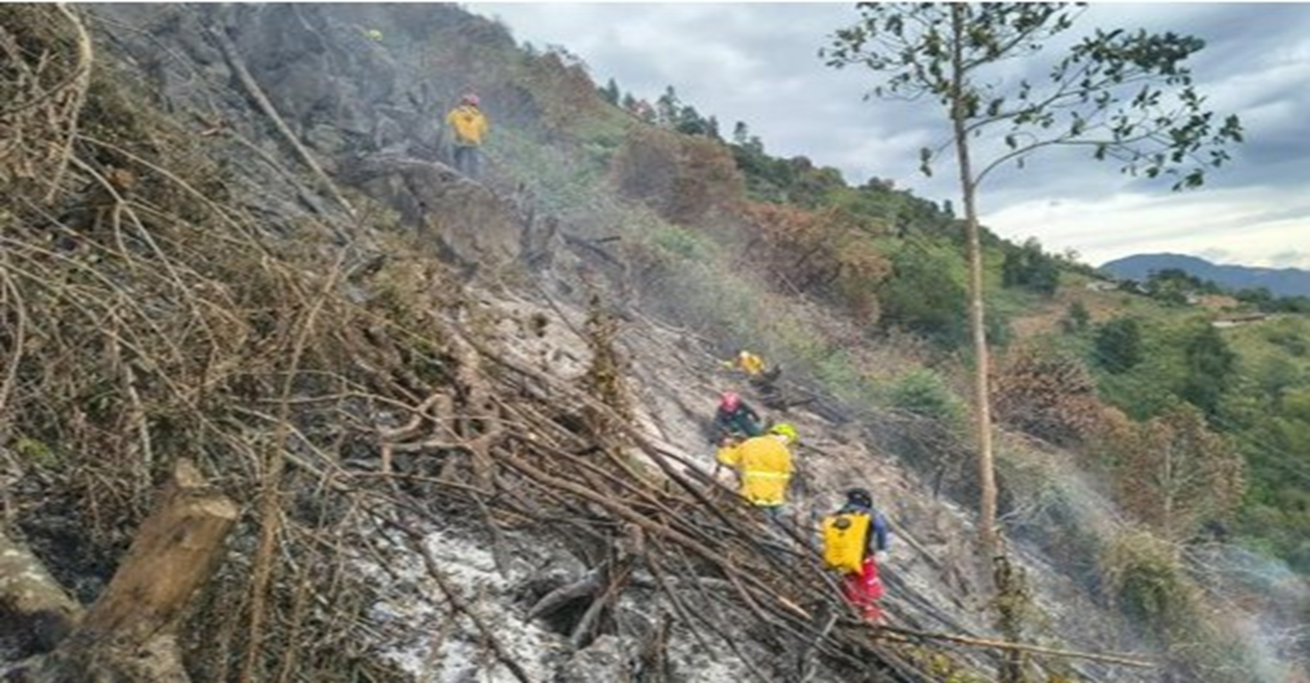 Bomberos liquidan incendio forestal tras cuatro días de operaciones en Montebello, Antioquia