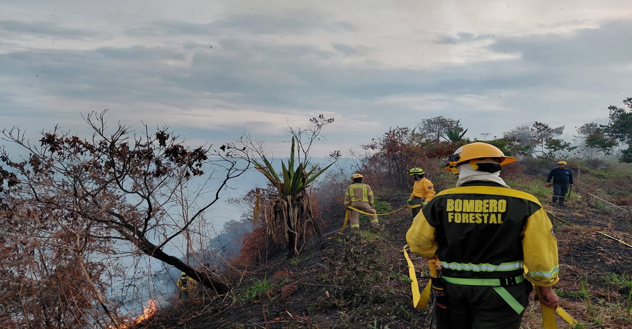 Respuesta interinstitucional permite liquidar incendio forestal que afectó 25 hectáreas en Nimaima, Cundinamarca
