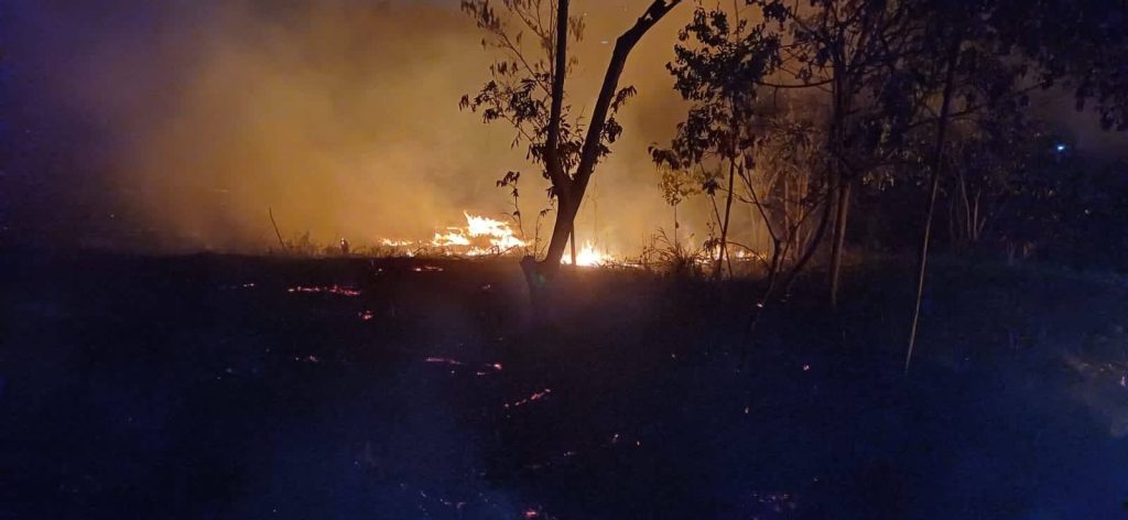 Línea de fuego y humo en una zona boscosa durante la noche.