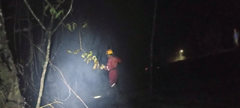 Bombero con casco amarillo realiza labores de control entre los árboles, durante una operación nocturna.
