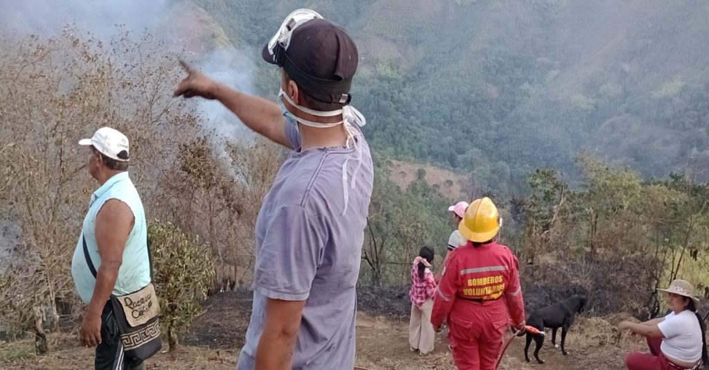 Bomberos y miembros de la comunidad observan el avance del incendio forestal.