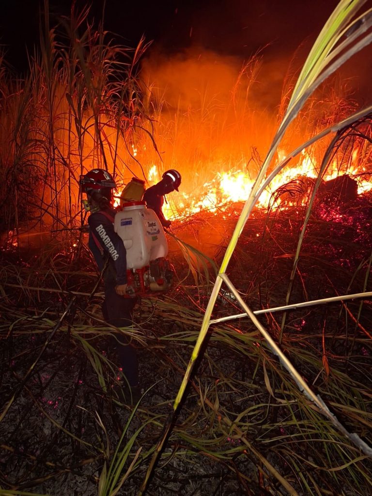 Bombero combate las llamas entre pasto alto durante una operación nocturna.