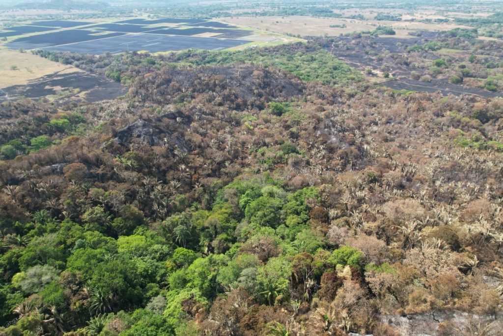 Vista aérea de áreas de vegetación afectadas por el incendio, junto a sectores que conservan cobertura verde.