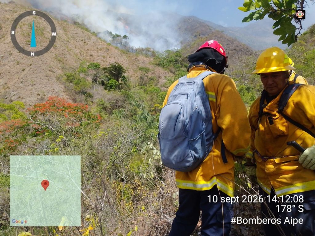 Dos bomberos con equipo de protección amarillo en una zona de vegetación, con laderas montañosas al fondo.