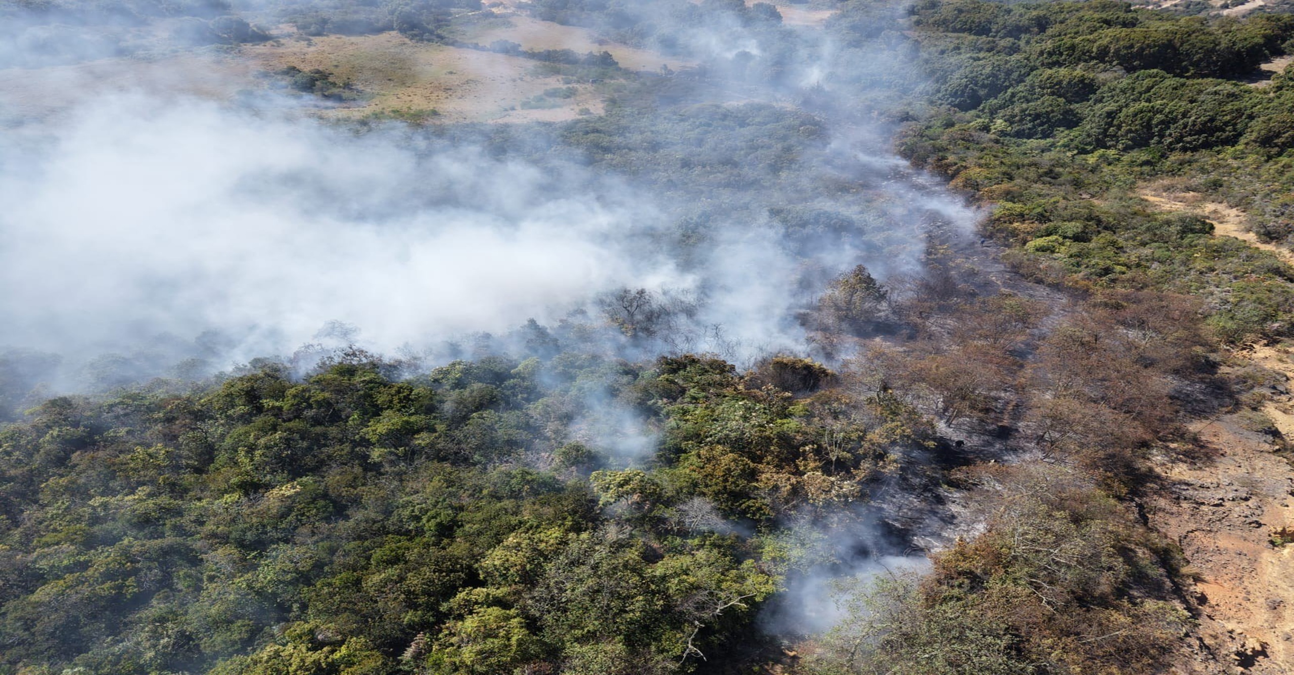 Bomberos de Villa de Leyva liquidaron incendio forestal en zona rural de Ráquira