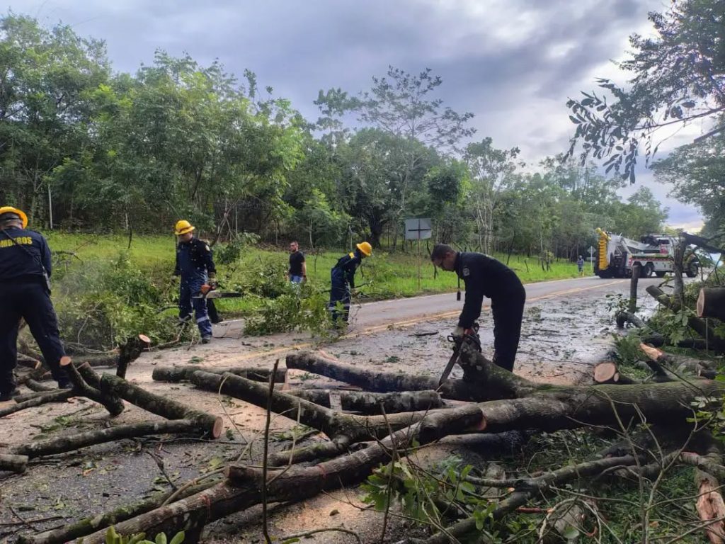 Personal bomberil corta árboles caídos que bloquean una vía.