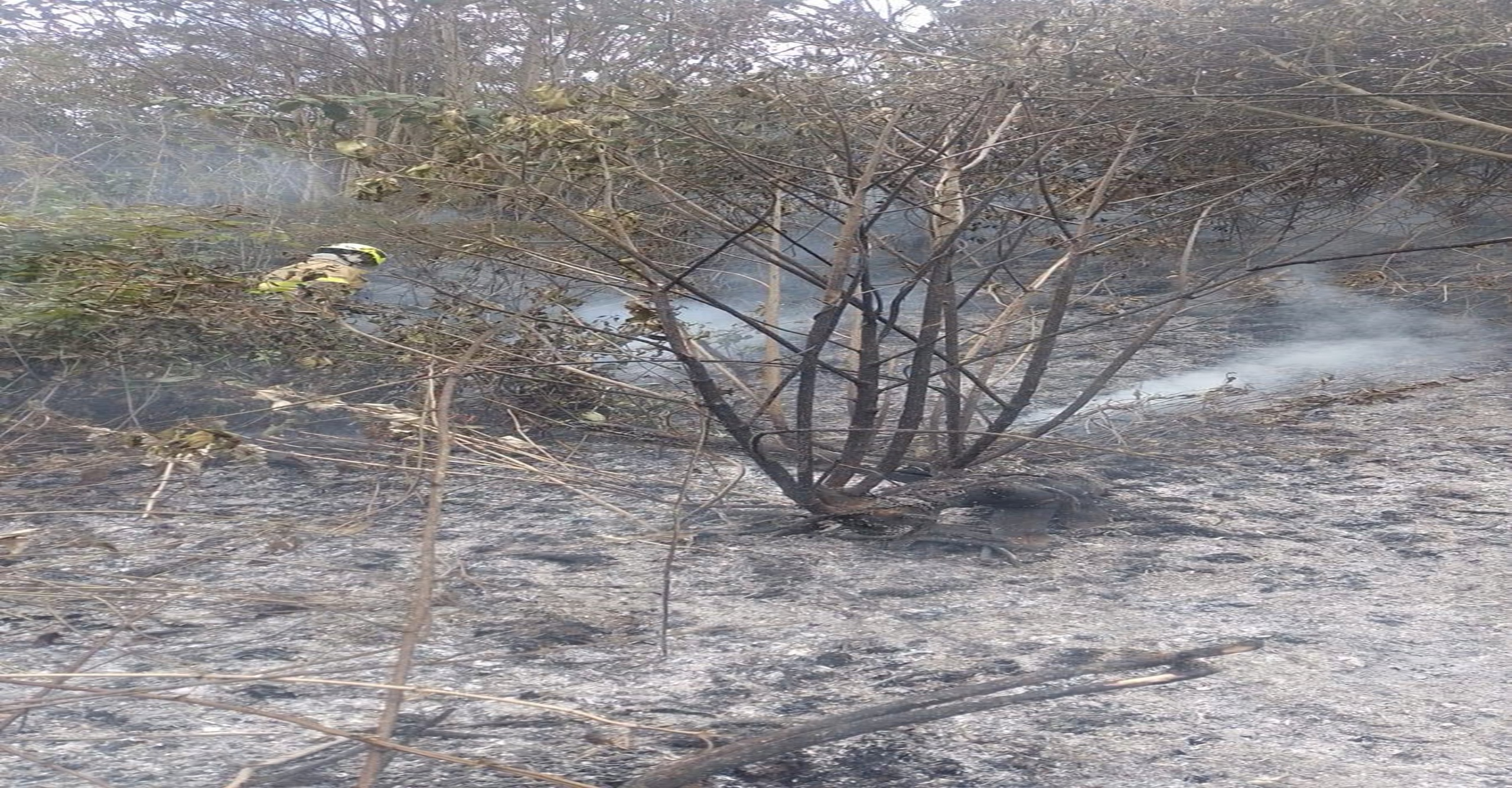 Tres incendios forestales simultáneos movilizaron a Bomberos Pasto