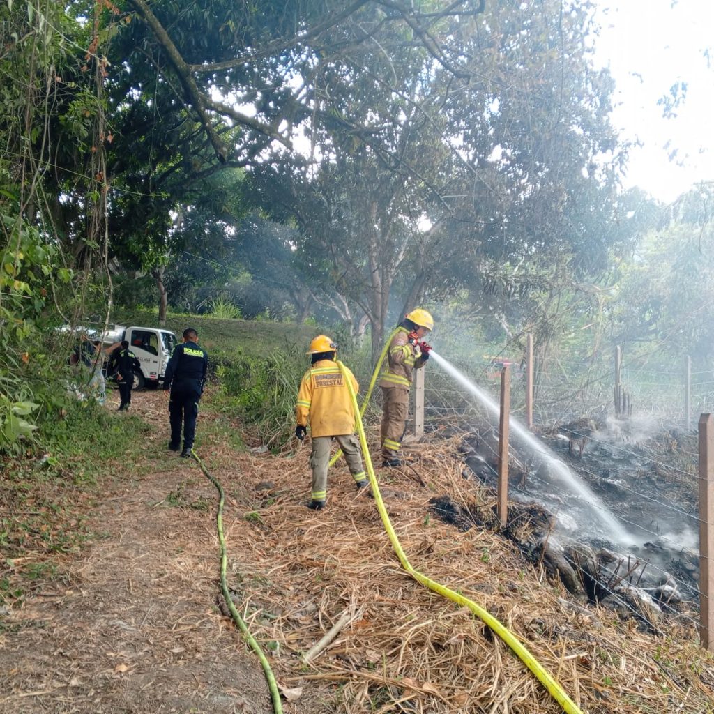 Bomberos realizan labores de refrigeración sobre la vegetación quemada junto a un cerramiento.