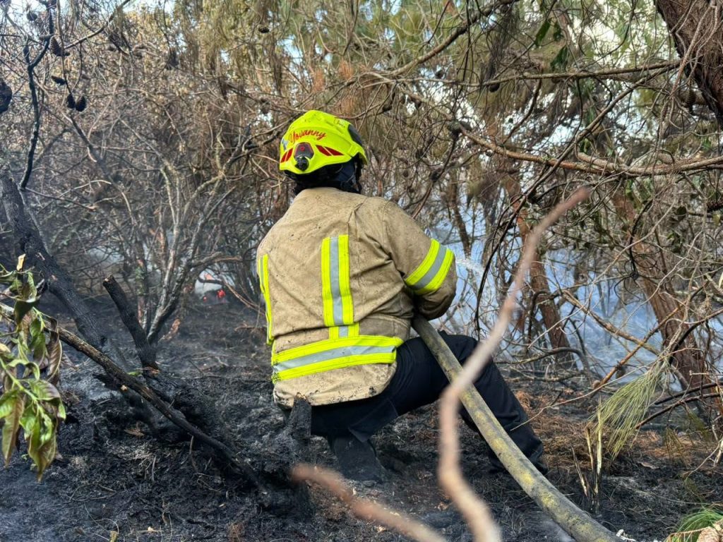 Bombero con casco y chaqueta reflectiva realiza labores de control entre arbustos y ramas en el área afectada.