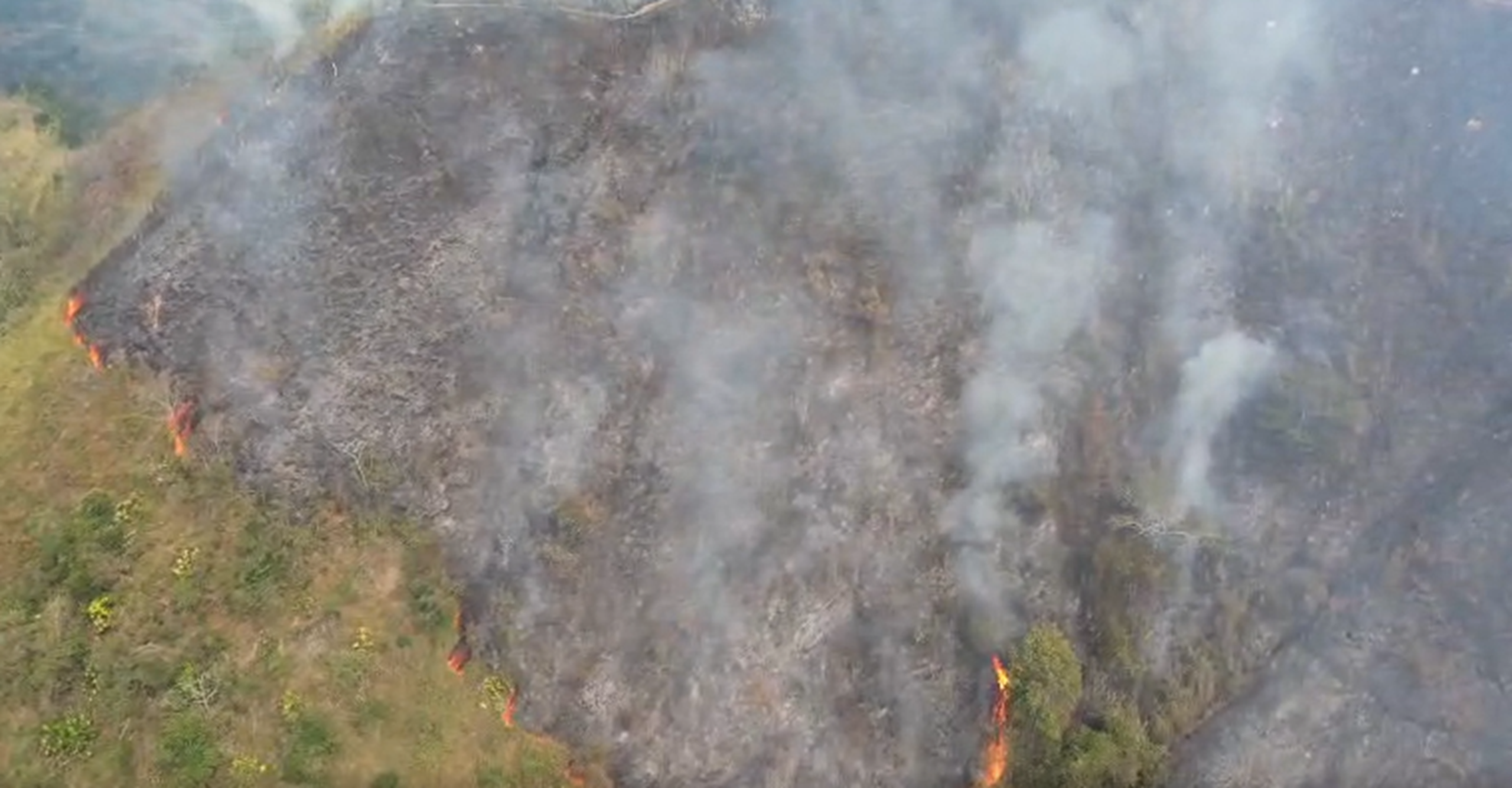 Trabajo interinstitucional permitió controlar incendio forestal en Anserma, Caldas