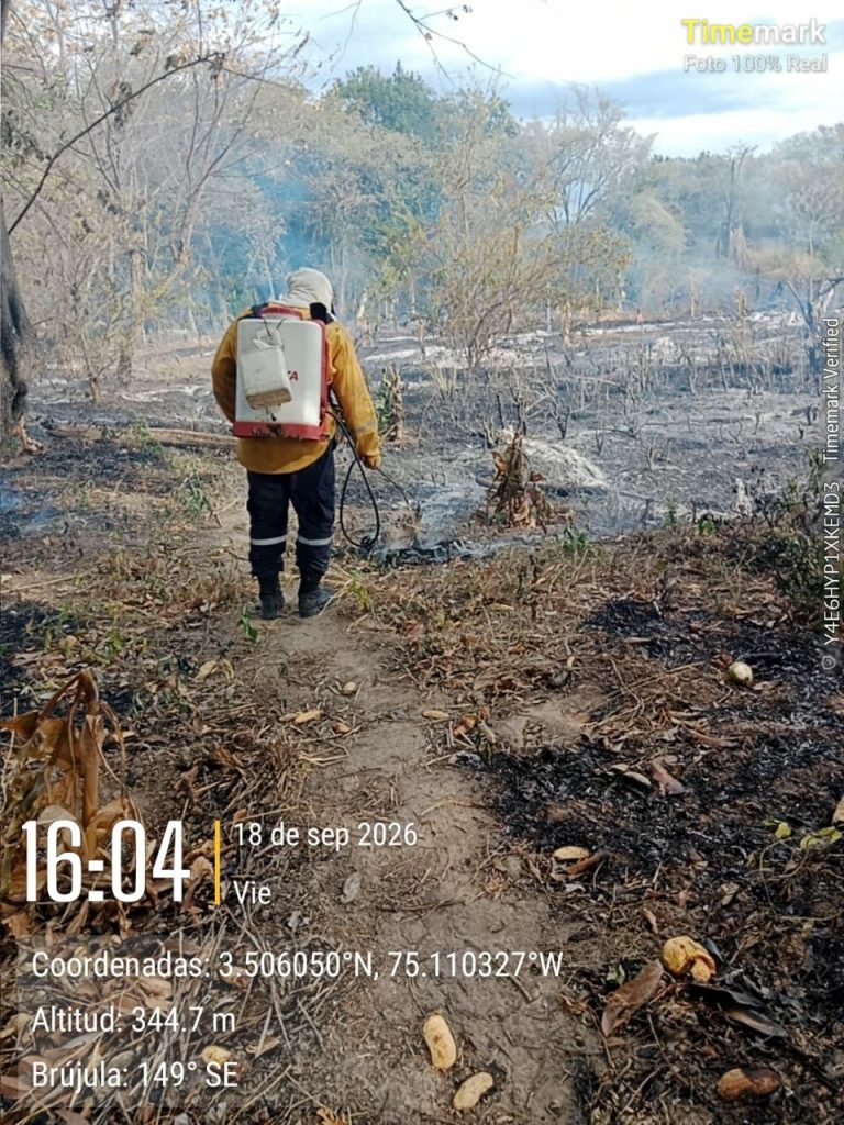 Unidad bomberil equipada con una bomba de espalda recorre el terreno afectado para identificar y controlar focos de calor entre la vegetación quemada.