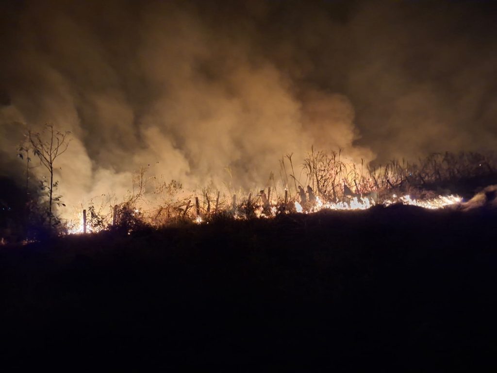 Línea de fuego y una densa columna de humo avanzan sobre la cobertura vegetal.