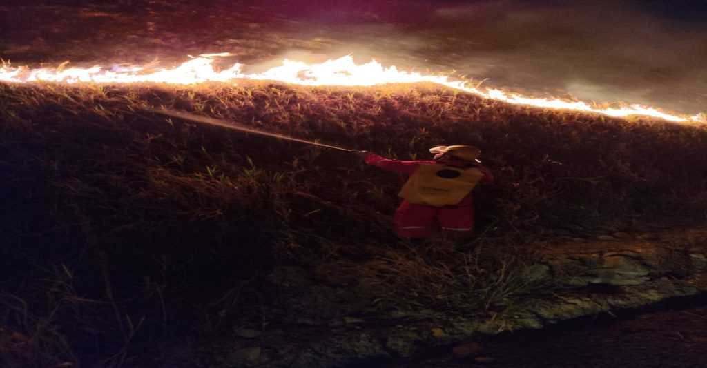 Línea de fuego avanza sobre la vegetación de una ladera, mientras una unidad bomberil desarrolla acciones de control durante la atención del incendio forestal.