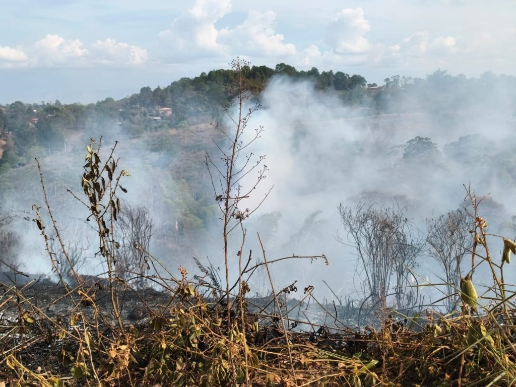 Incendio forestal en la vereda Yarumal, con una densa concentración de humo. 