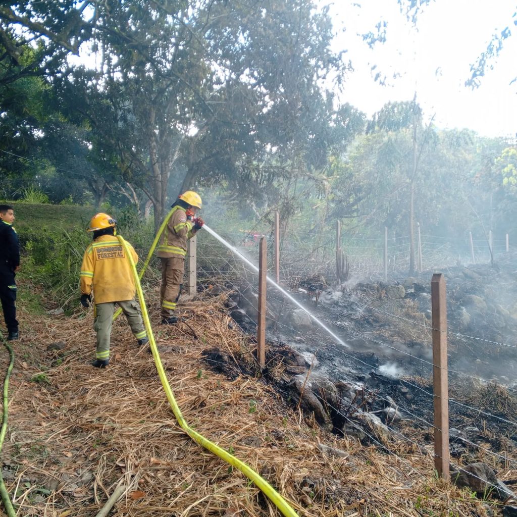 Unidades bomberiles aplican agua para controlar los puntos calientes del terreno.