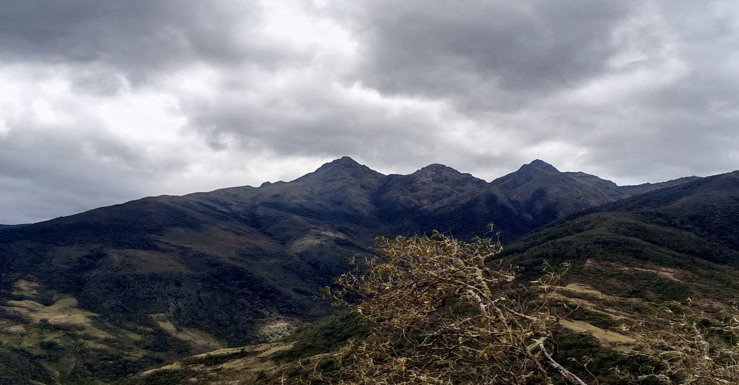 Continúan labores para controlar incendio forestal que afecta más de 1.000 hectáreas en zona de páramo de Buga