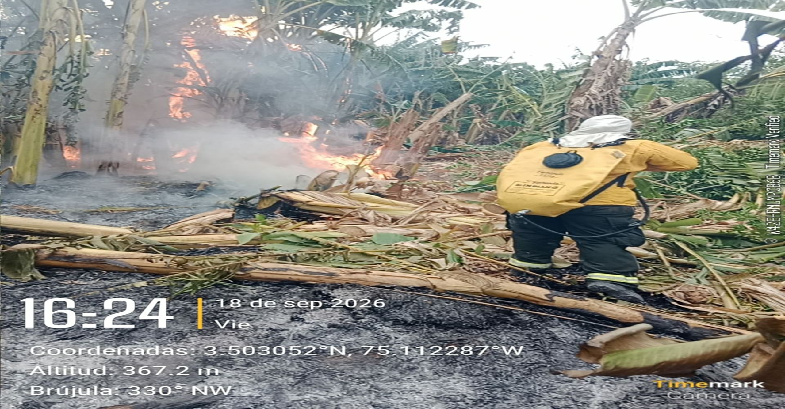 Bomberos de Natagaima controlaron en un 95 % incendio forestal en la isla Las Vegas