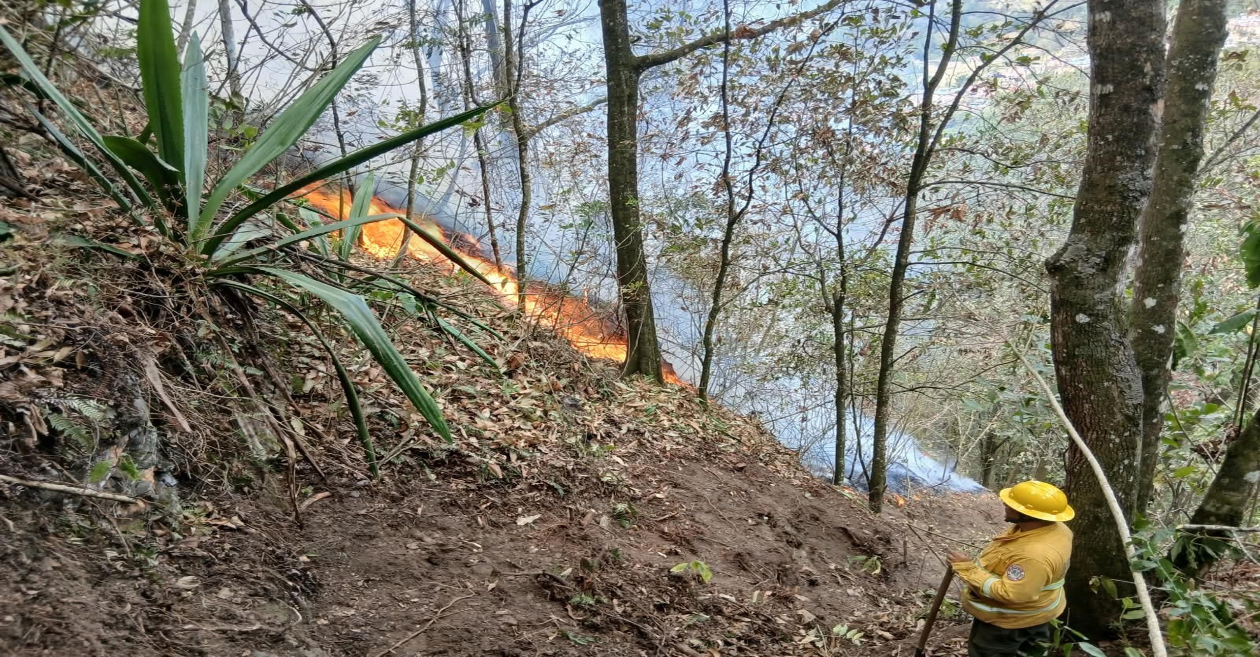 Bomberos de Pacho liquidaron incendio forestal reactivado por fuertes vientos