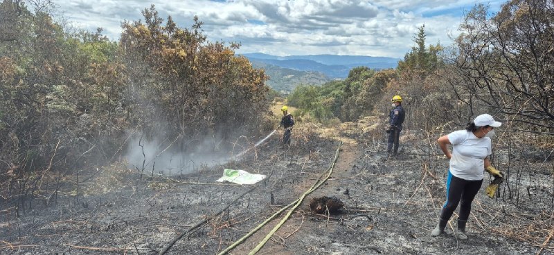 Personal operativo realiza labores de verificación y liquidación sobre un sector con presencia de humo.
